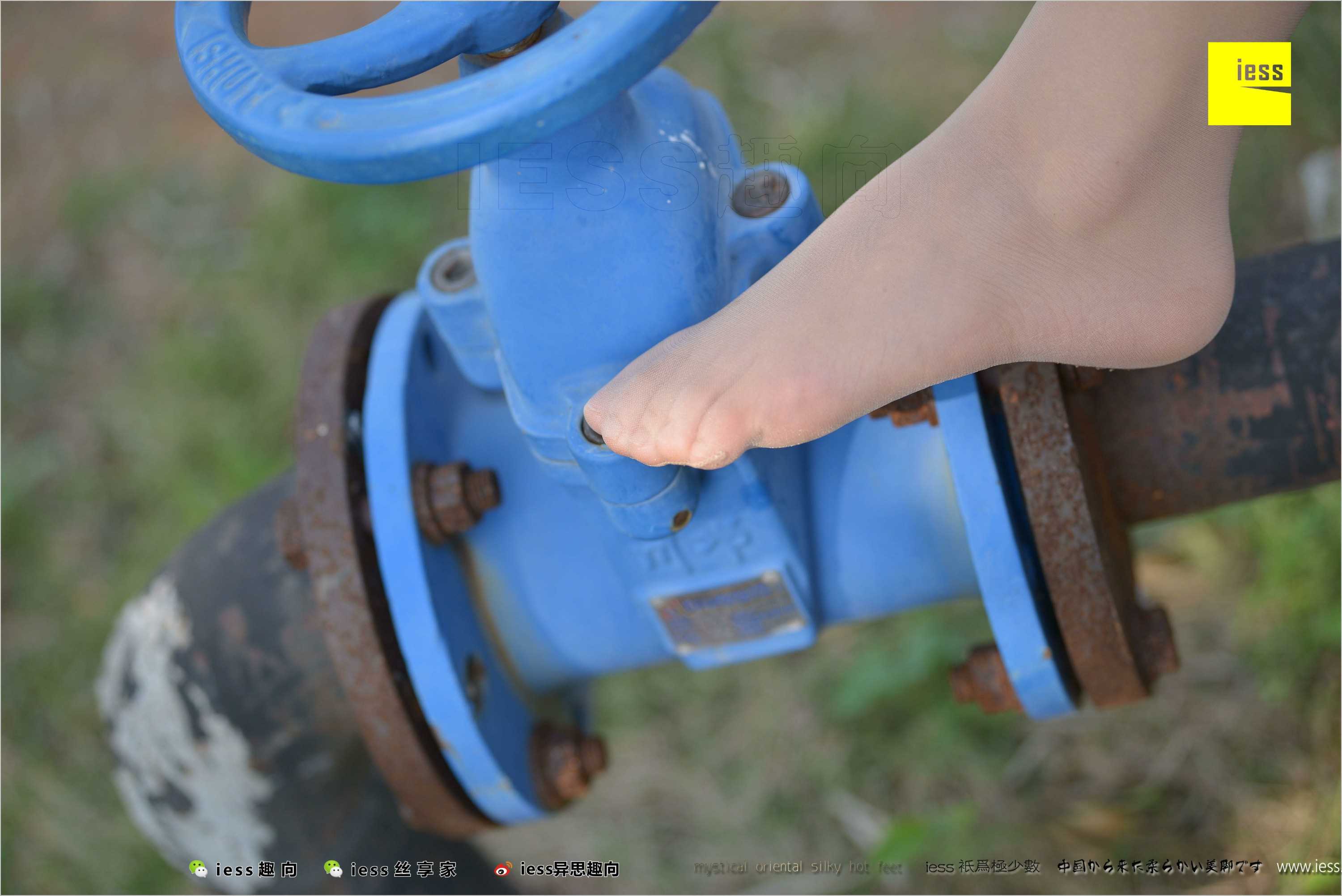 China Beauty Legs and feet 493