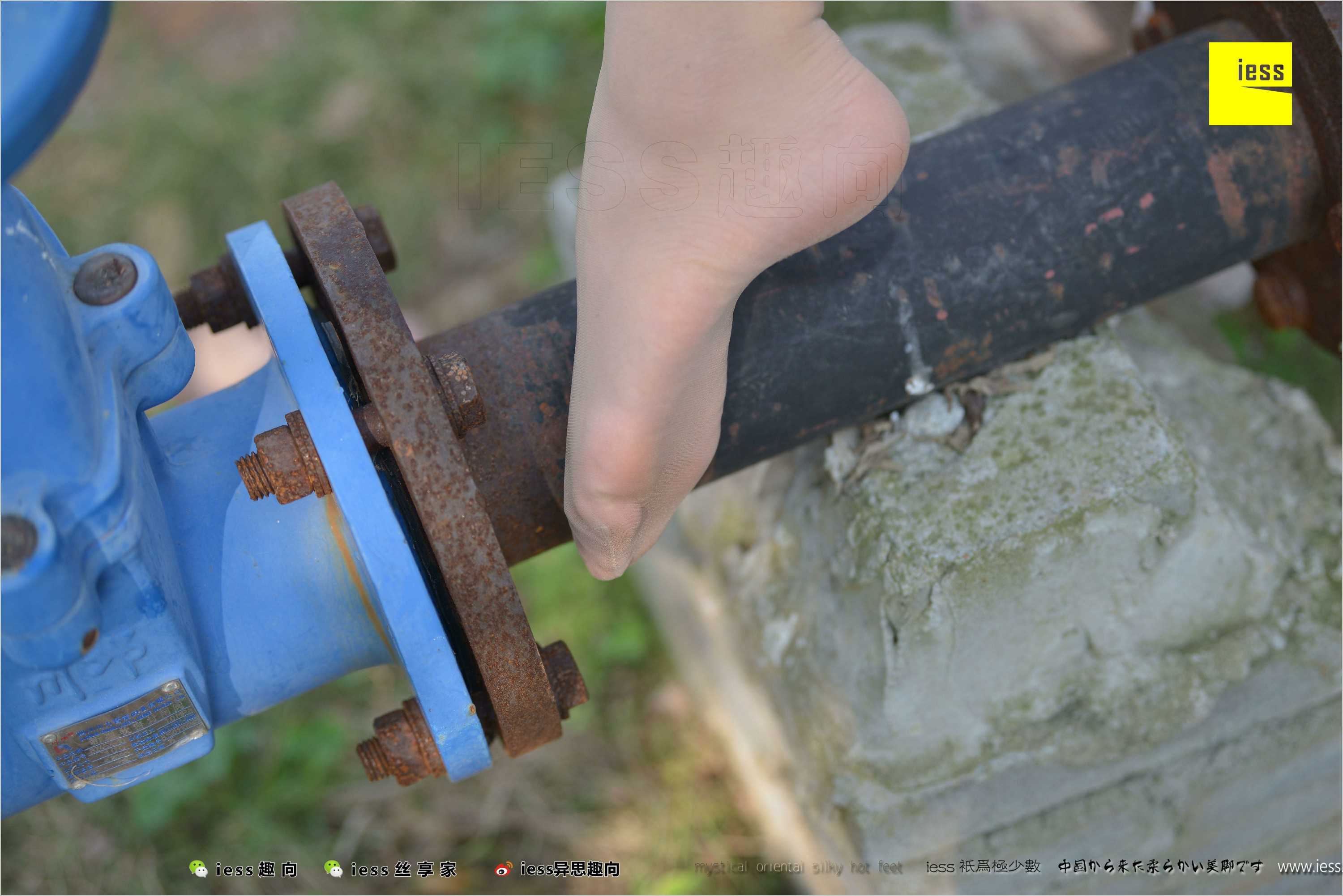 China Beauty Legs and feet 493