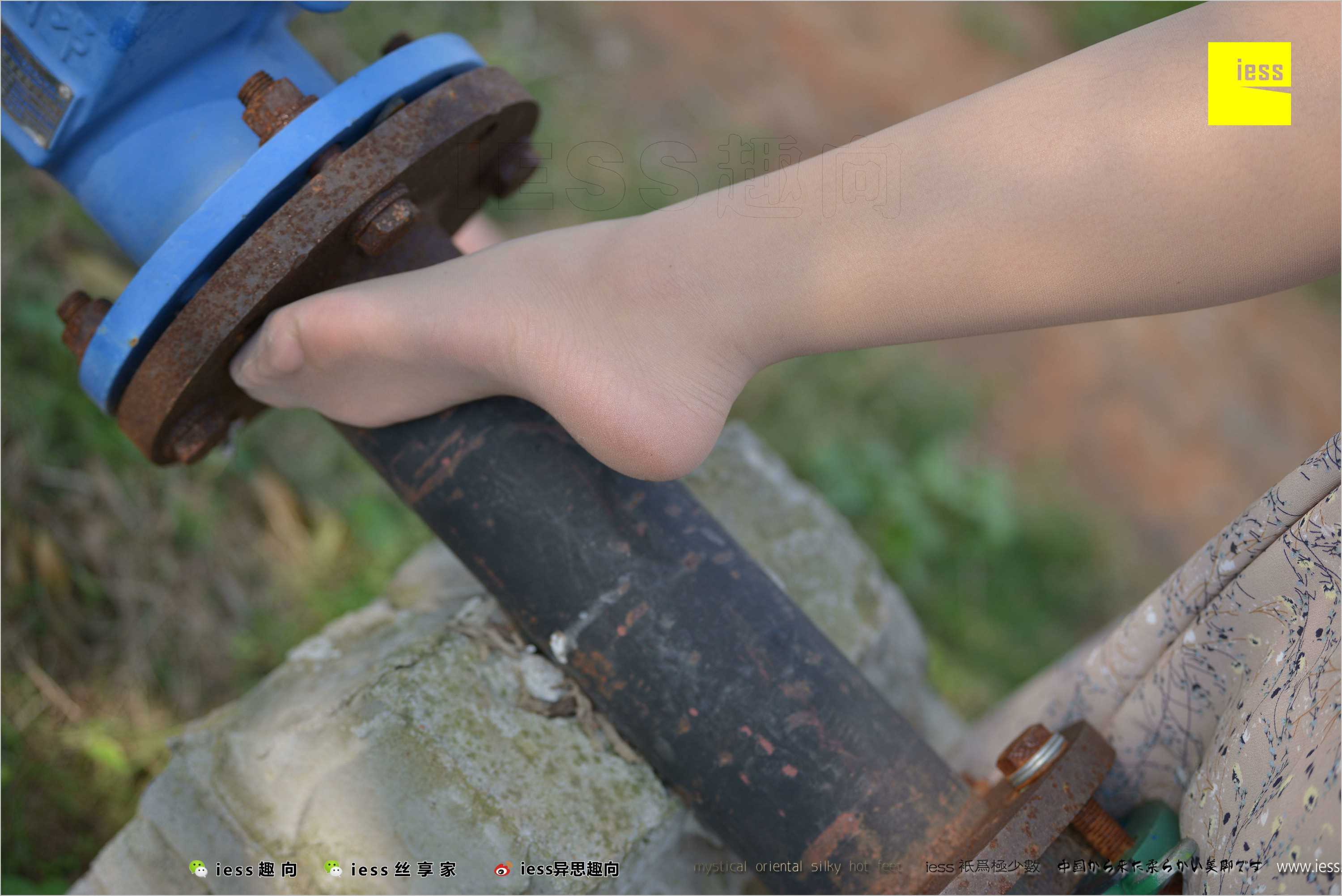 China Beauty Legs and feet 493