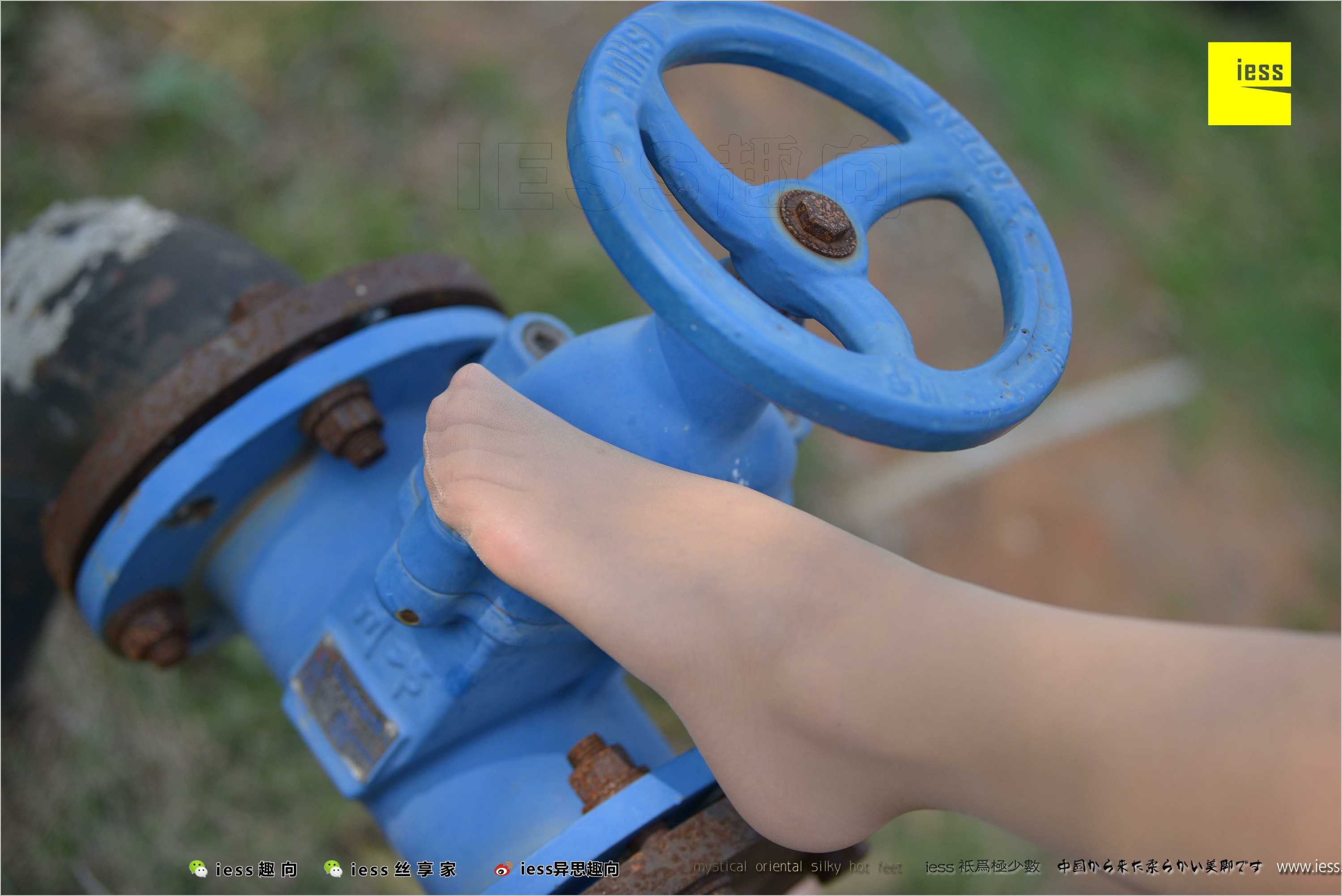 China Beauty Legs and feet 493