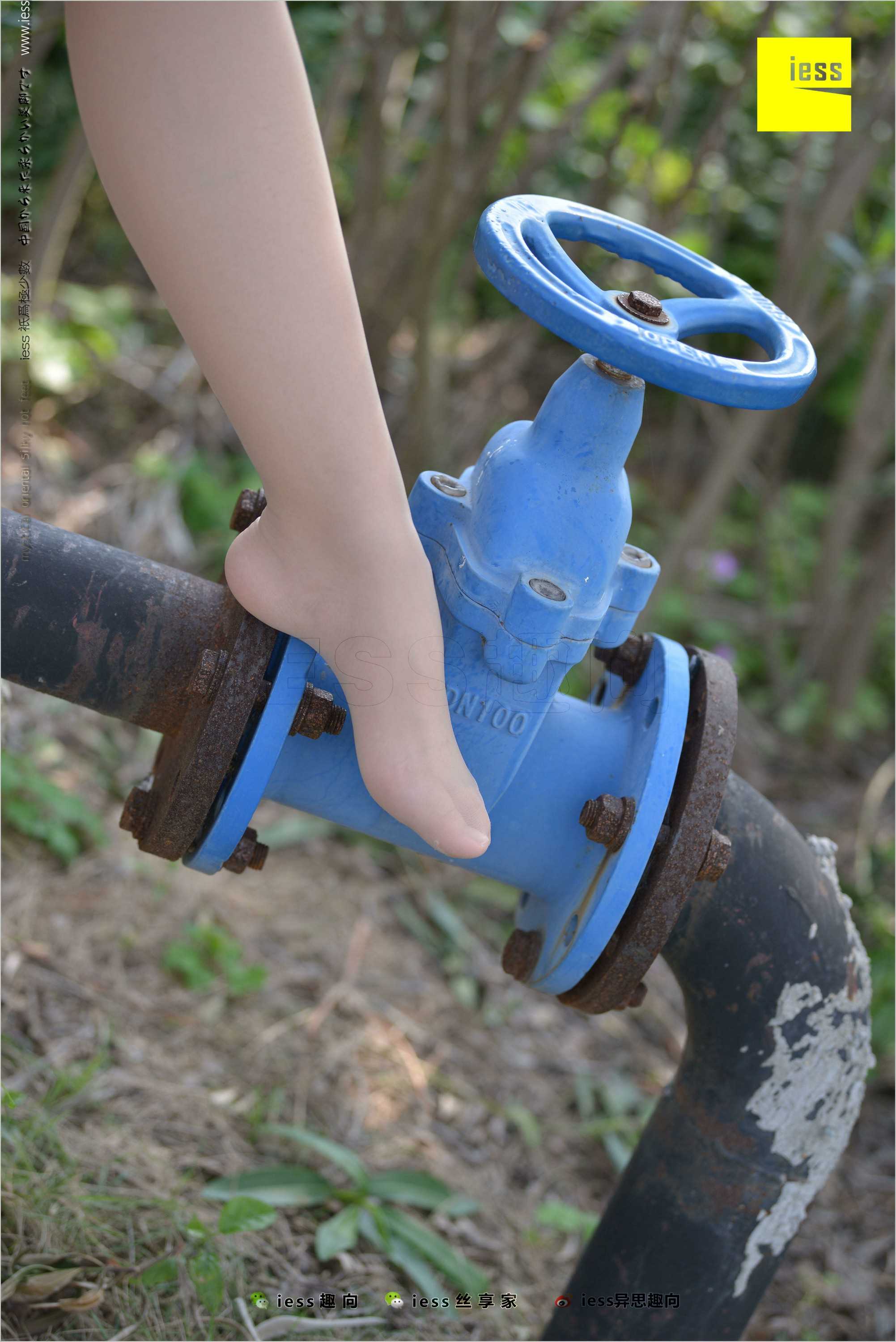 China Beauty Legs and feet 493