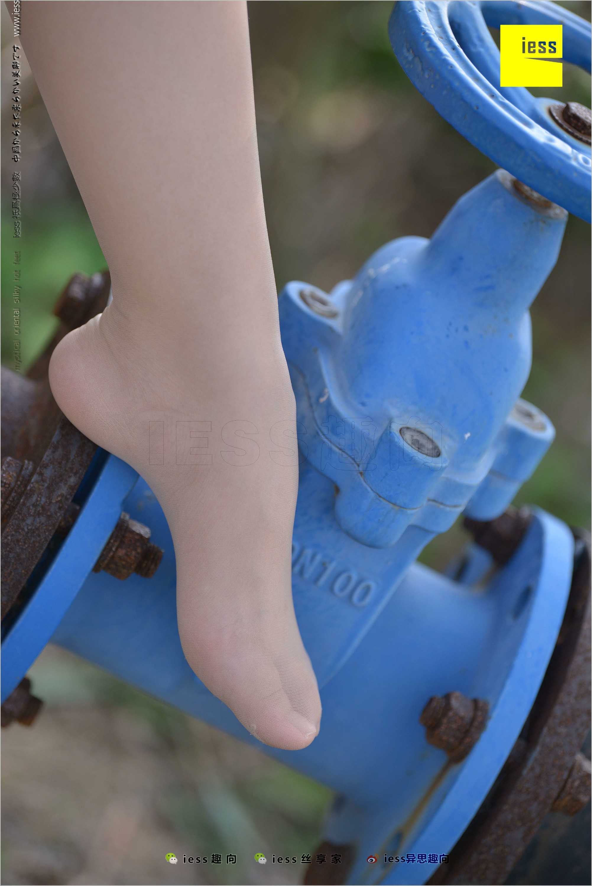 China Beauty Legs and feet 493