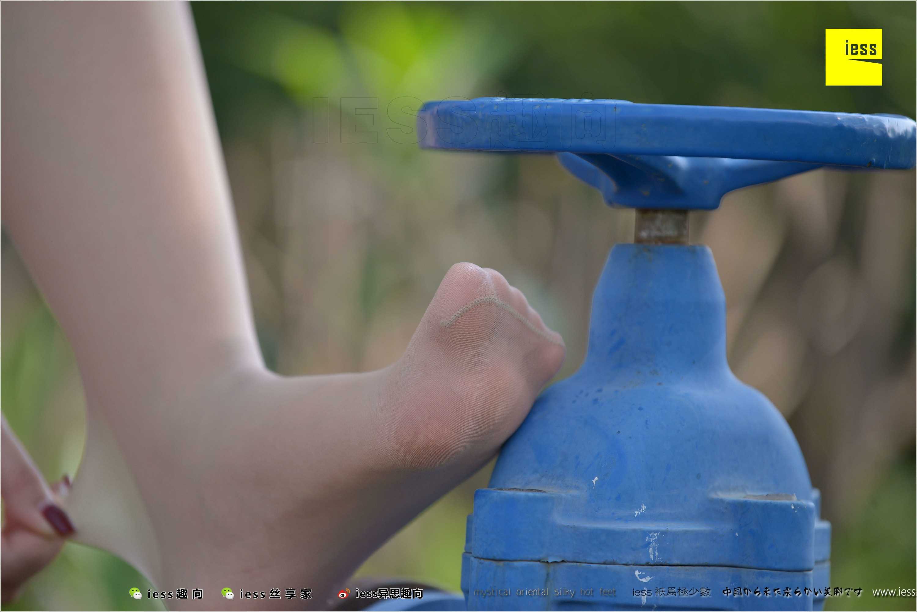 China Beauty Legs and feet 493