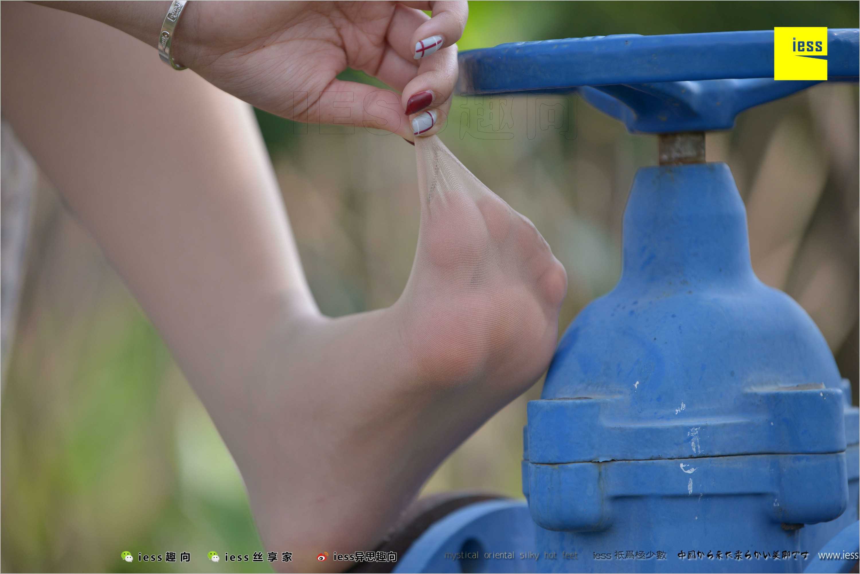 China Beauty Legs and feet 493