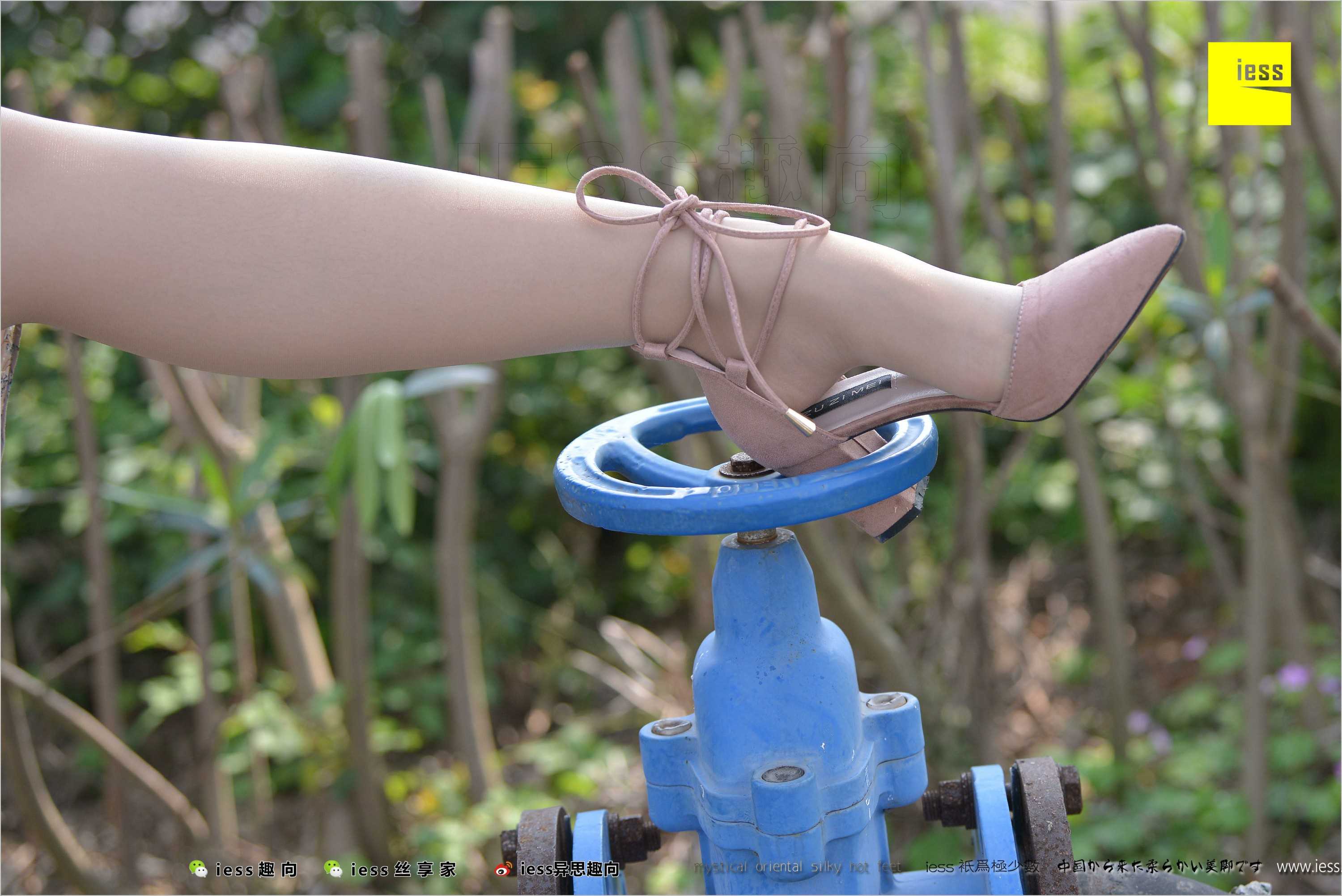 China Beauty Legs and feet 493