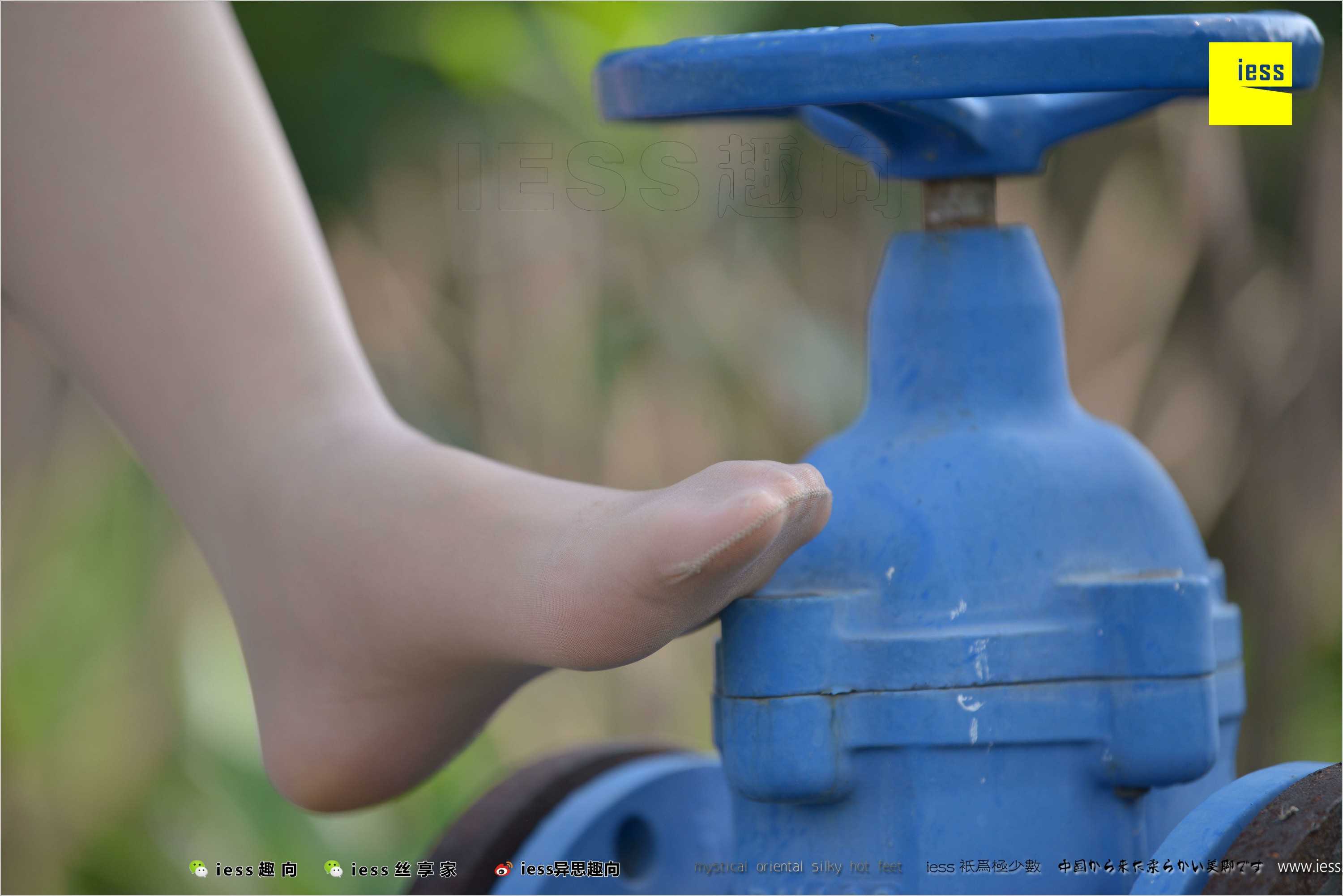 China Beauty Legs and feet 493