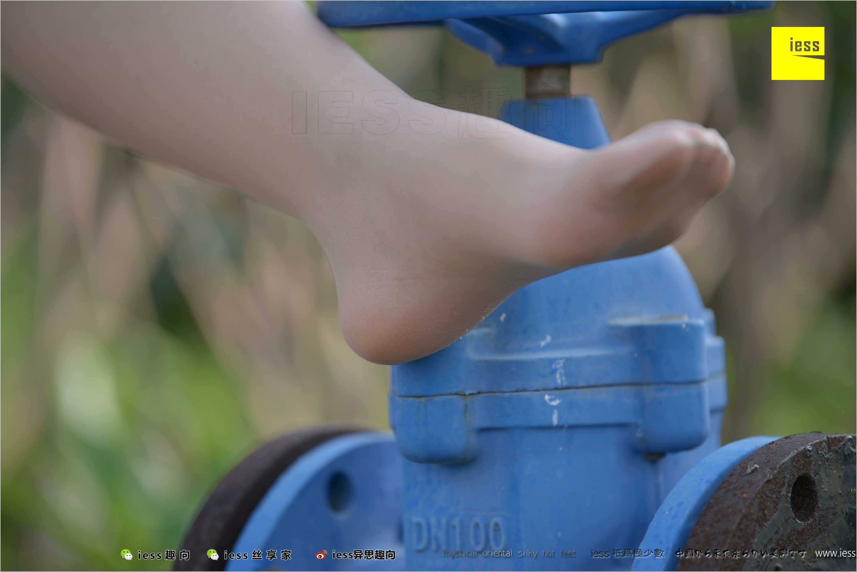 China Beauty Legs and feet 493