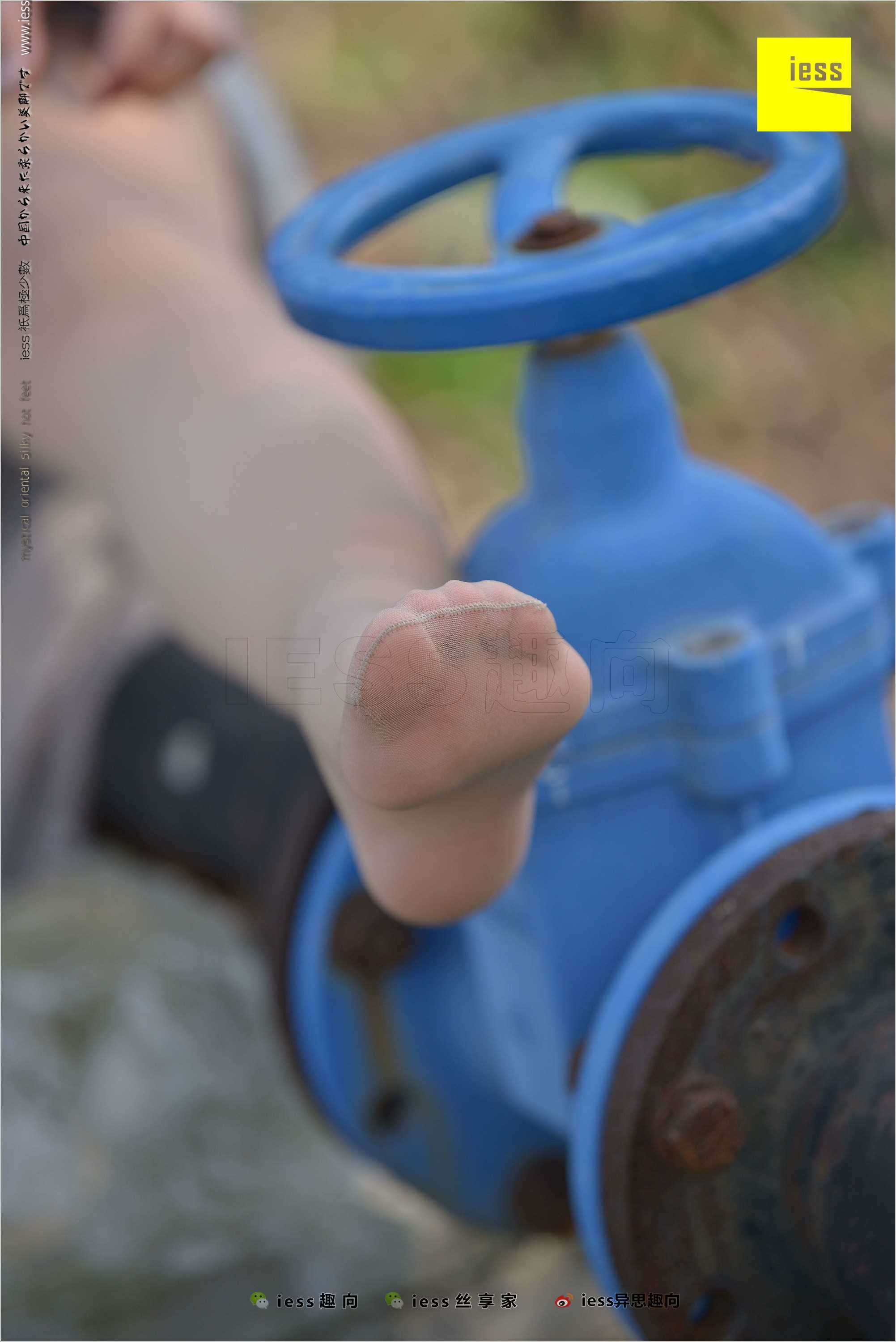 China Beauty Legs and feet 493