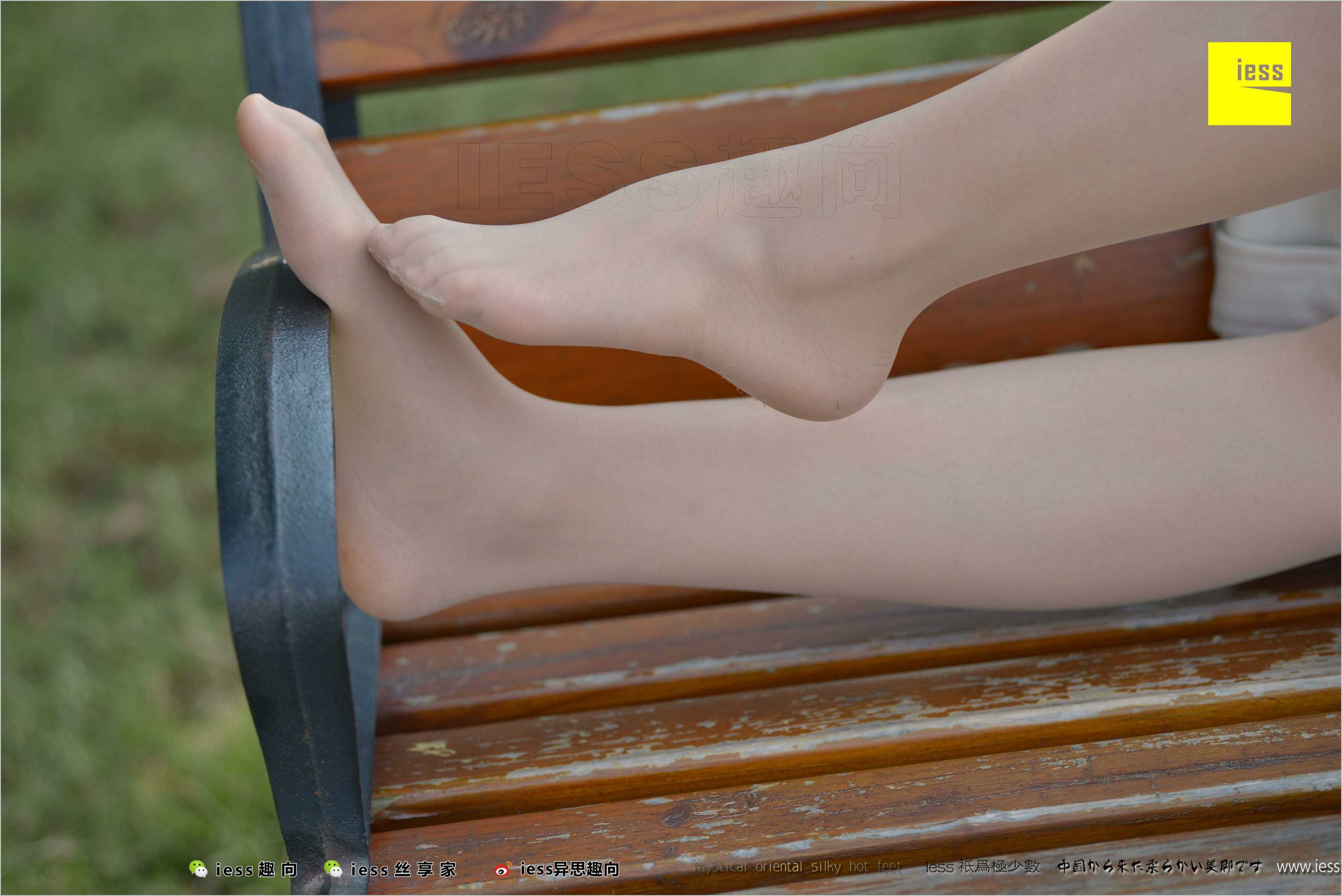 China Beauty Legs and feet 493