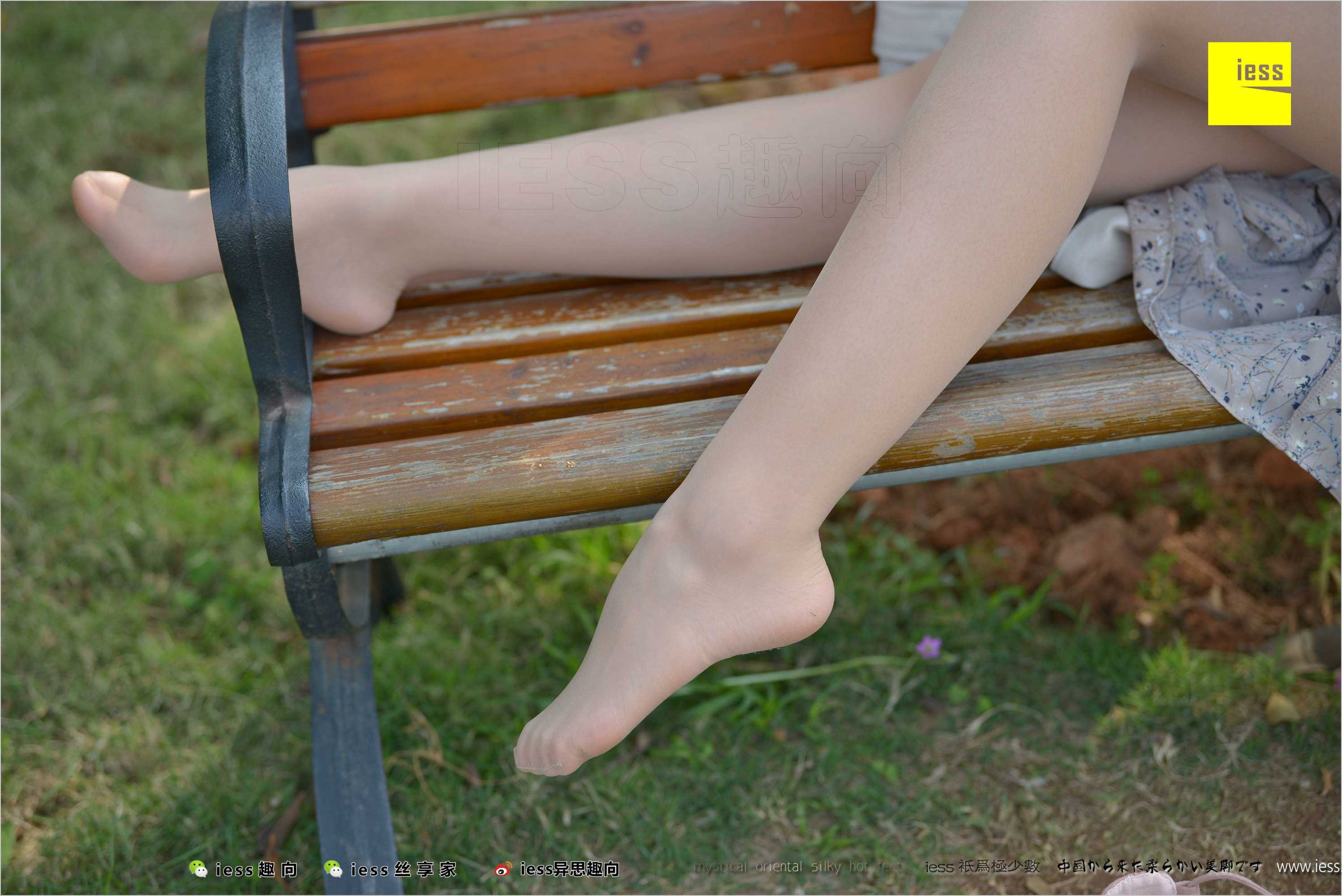 China Beauty Legs and feet 493