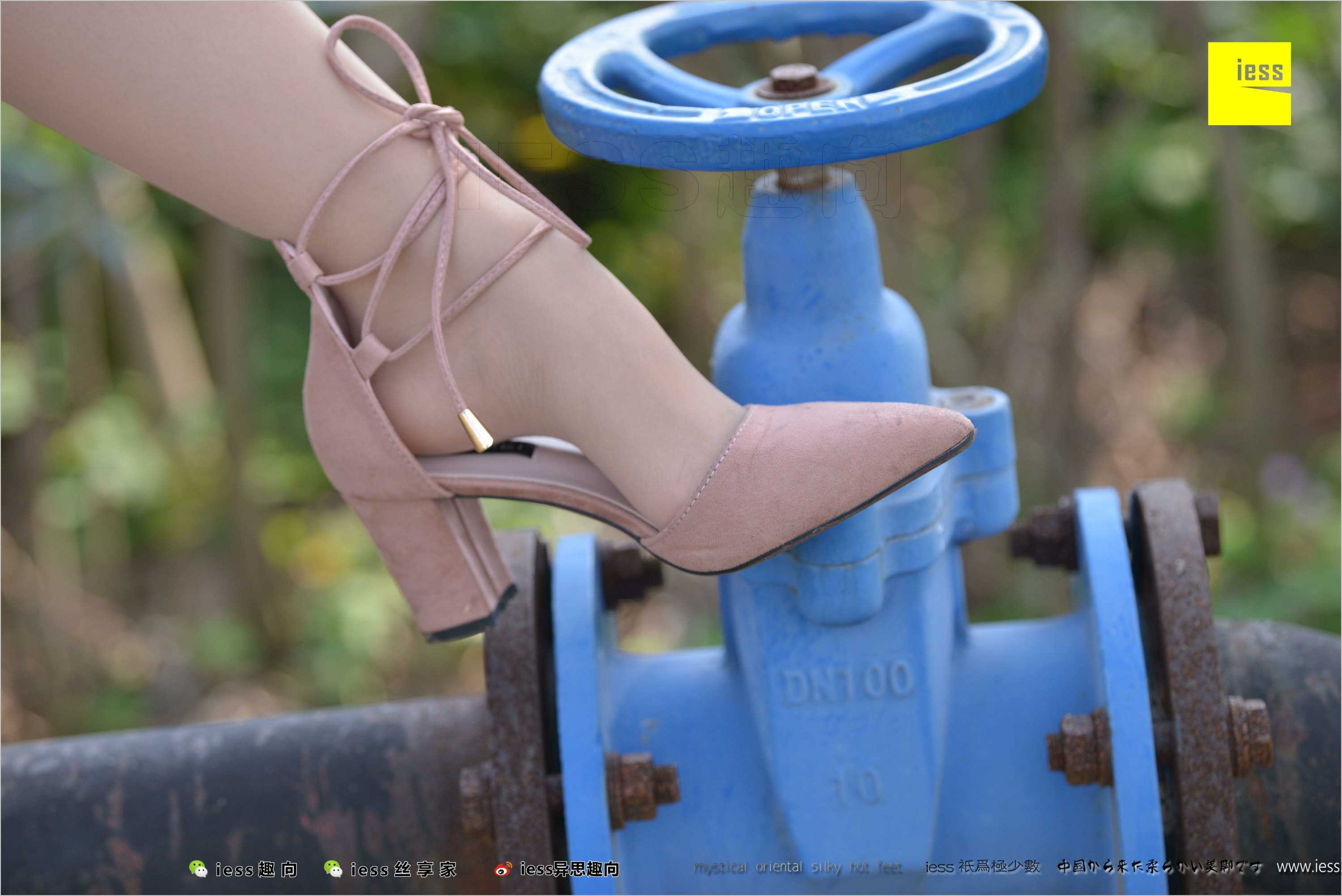 China Beauty Legs and feet 493