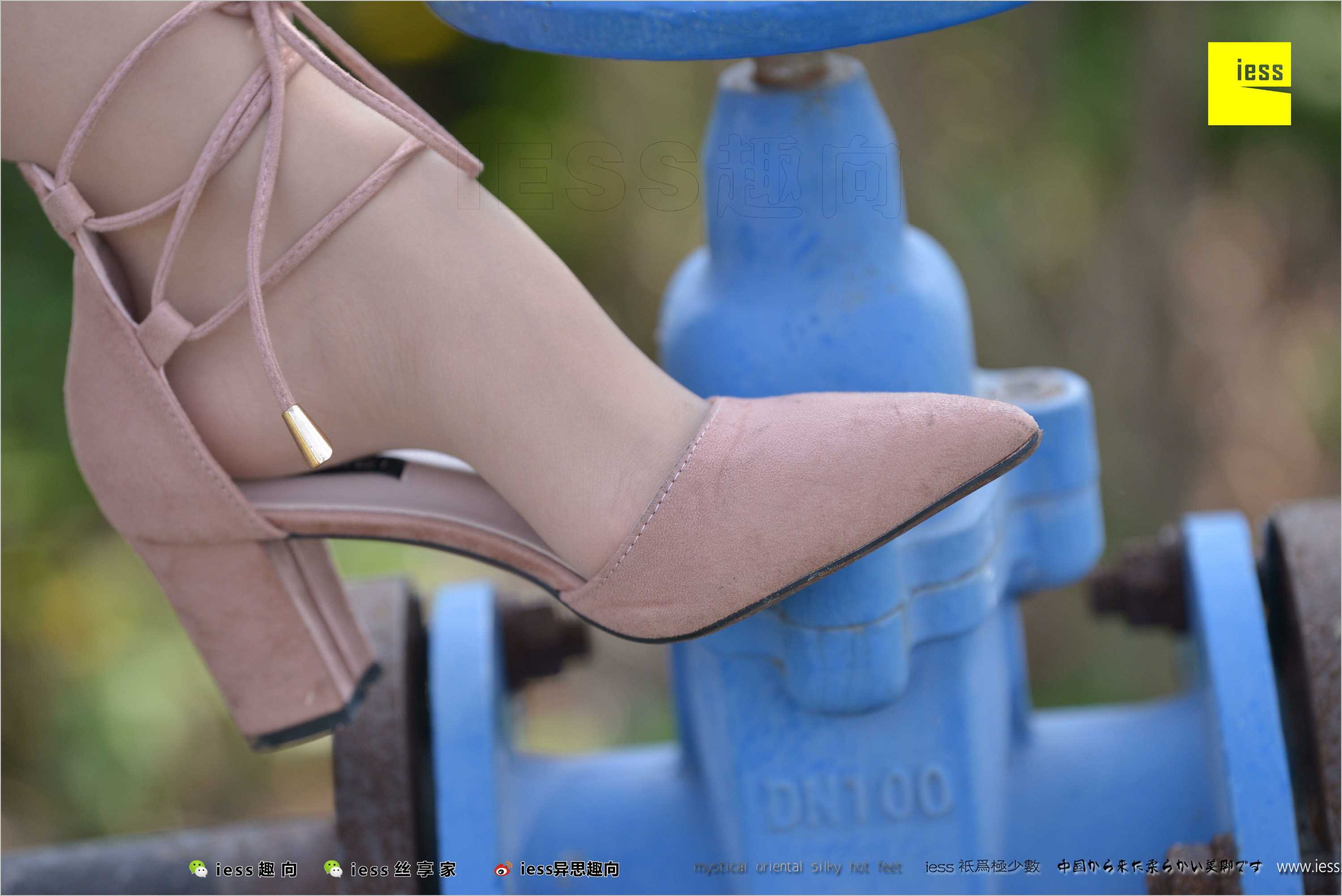 China Beauty Legs and feet 493