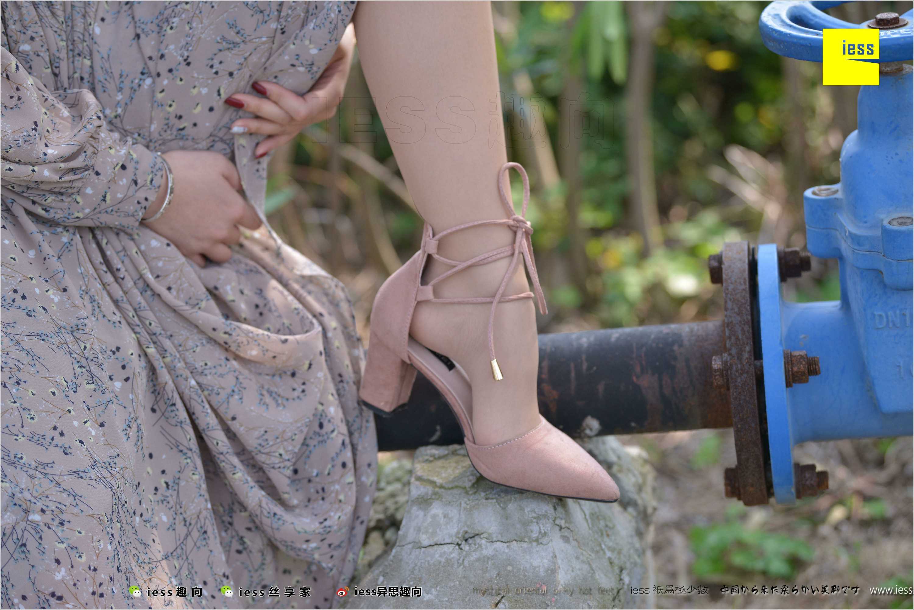 China Beauty Legs and feet 493