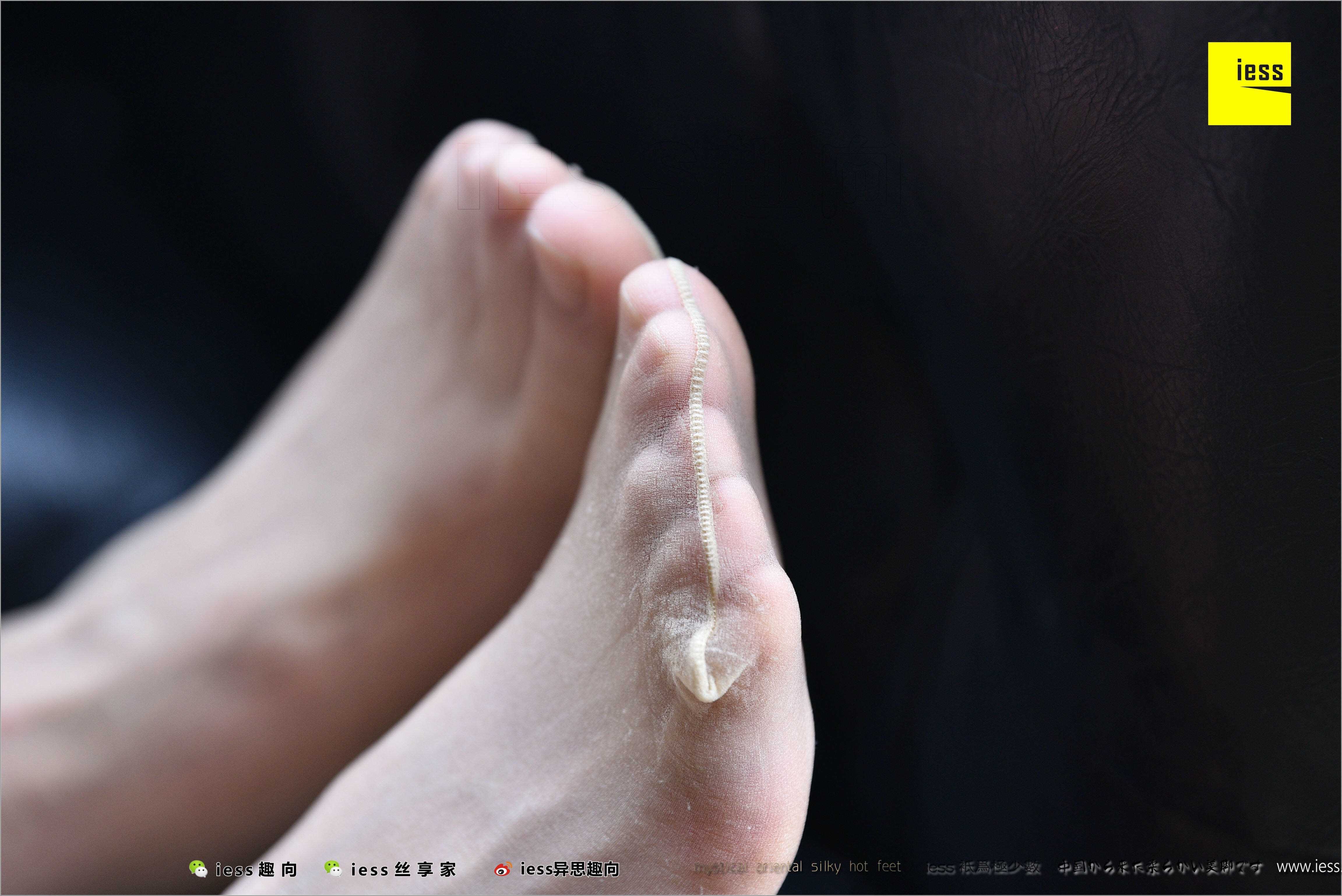 China Beauty Legs and feet 494