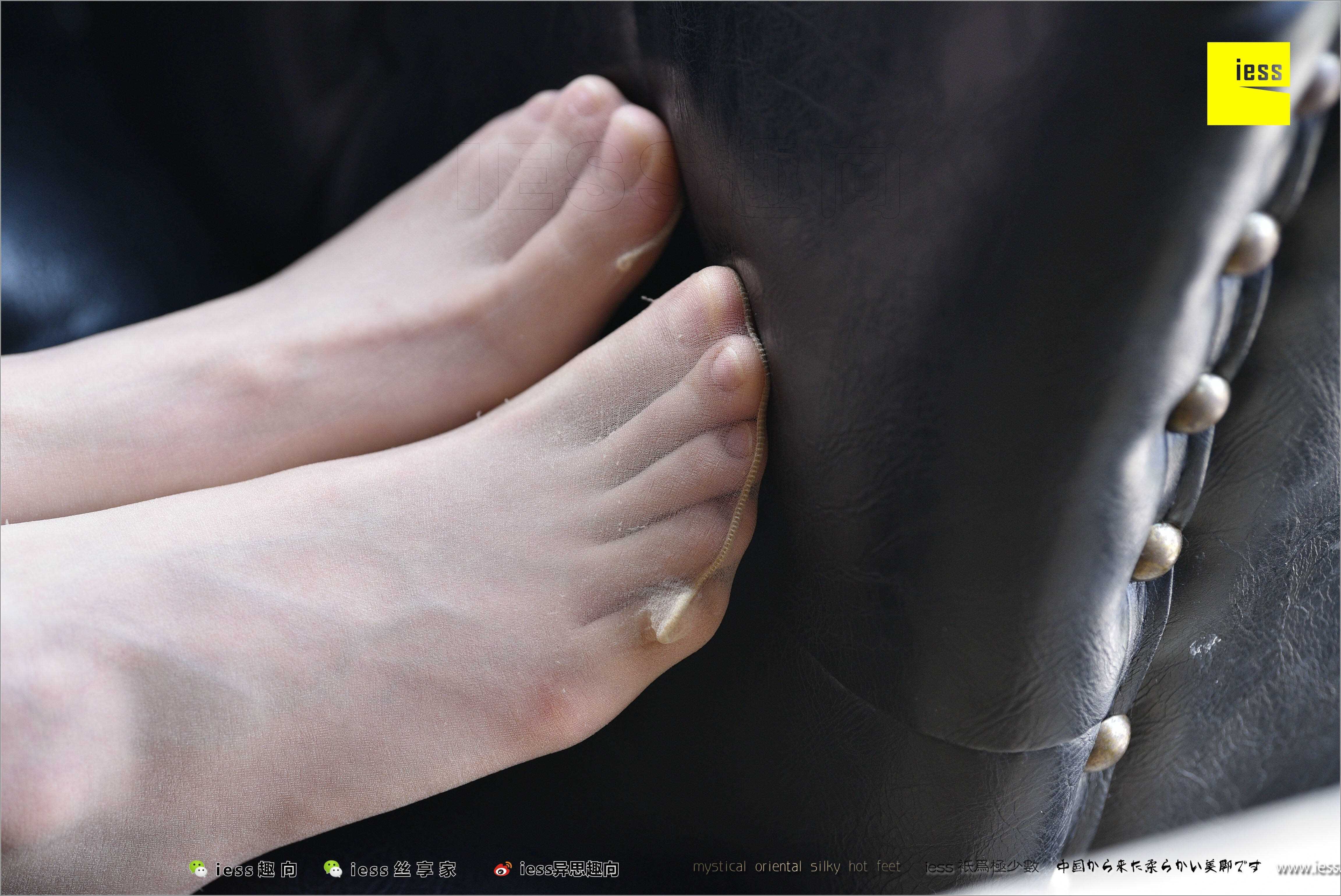 China Beauty Legs and feet 494