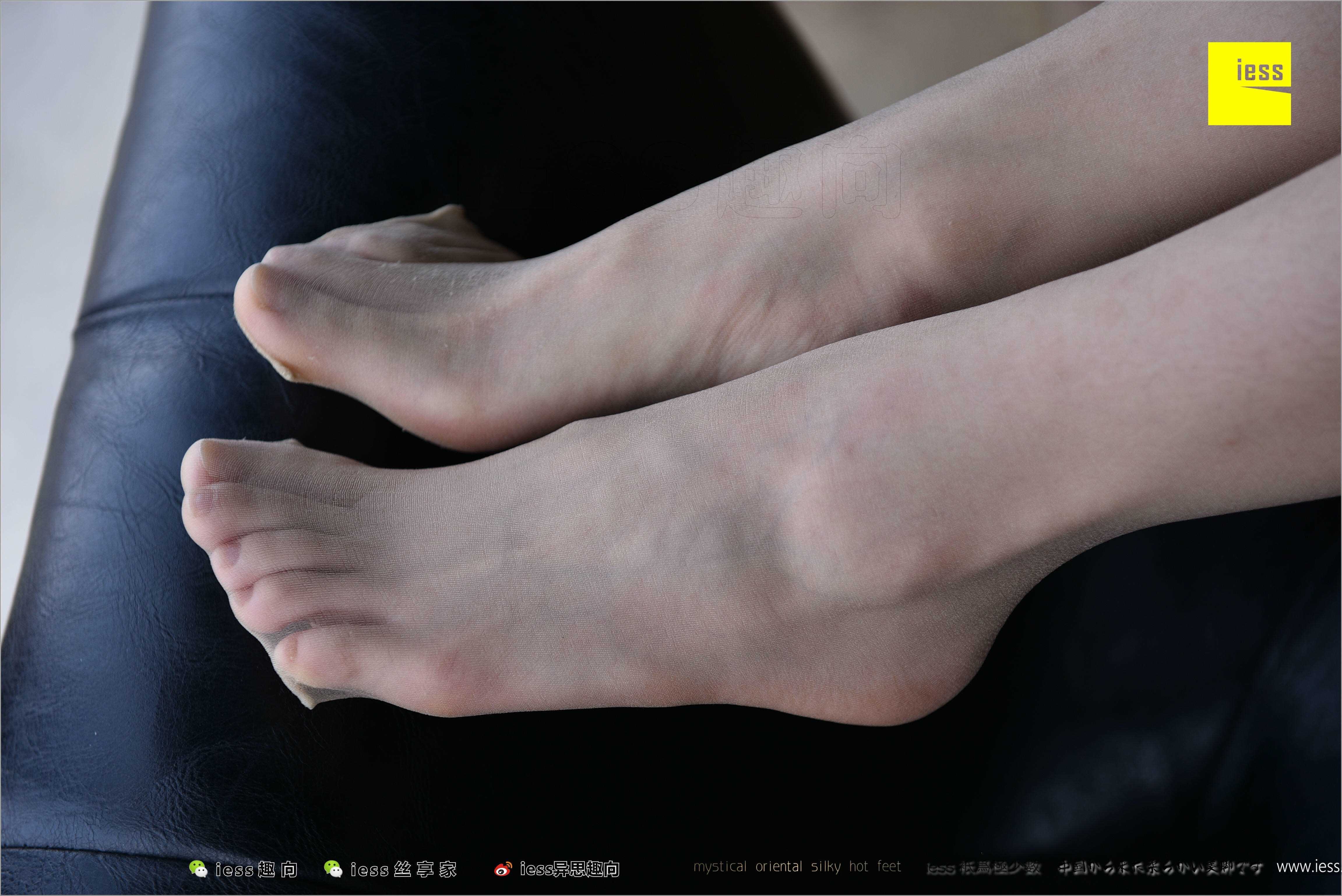 China Beauty Legs and feet 494