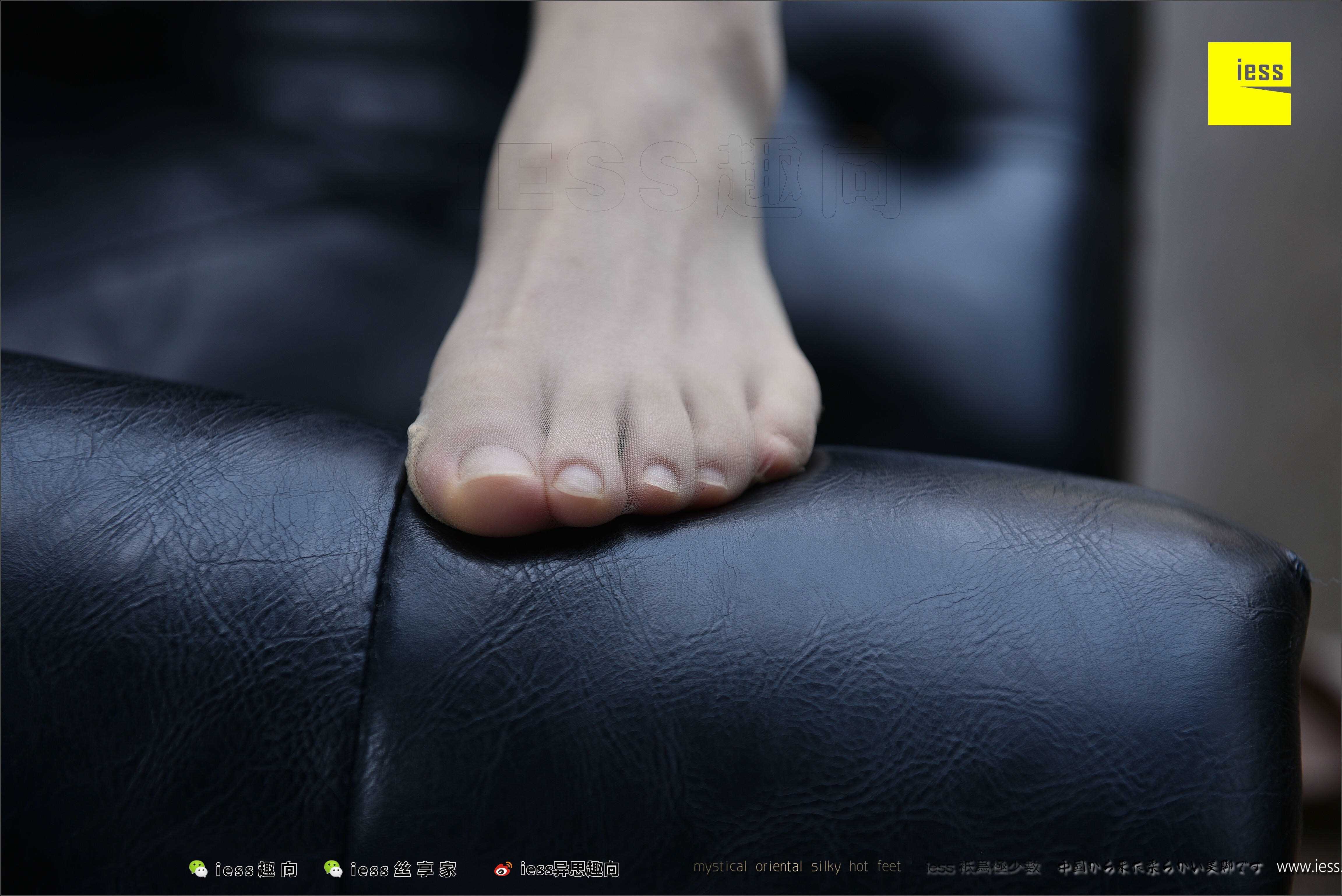 China Beauty Legs and feet 494