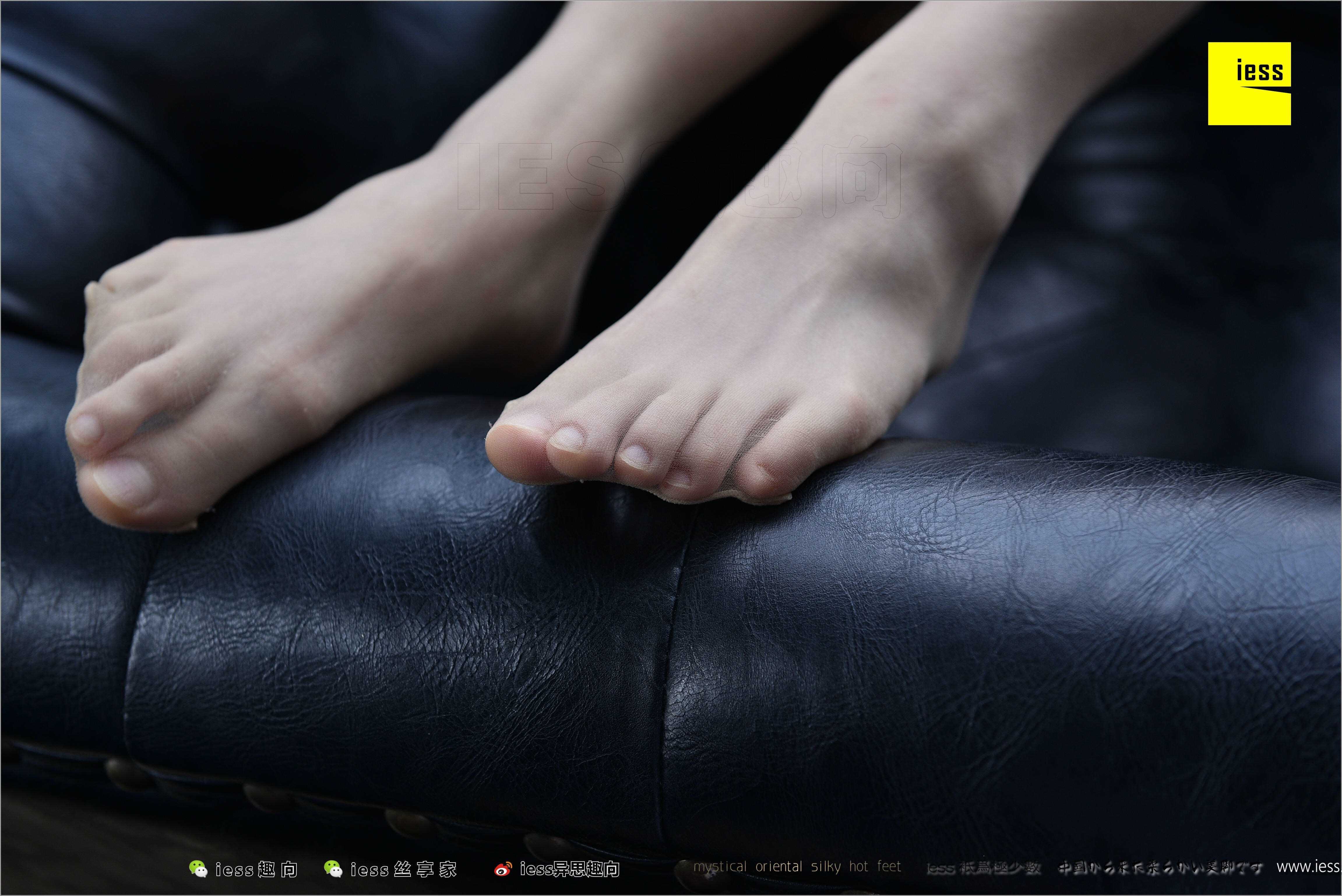 China Beauty Legs and feet 494