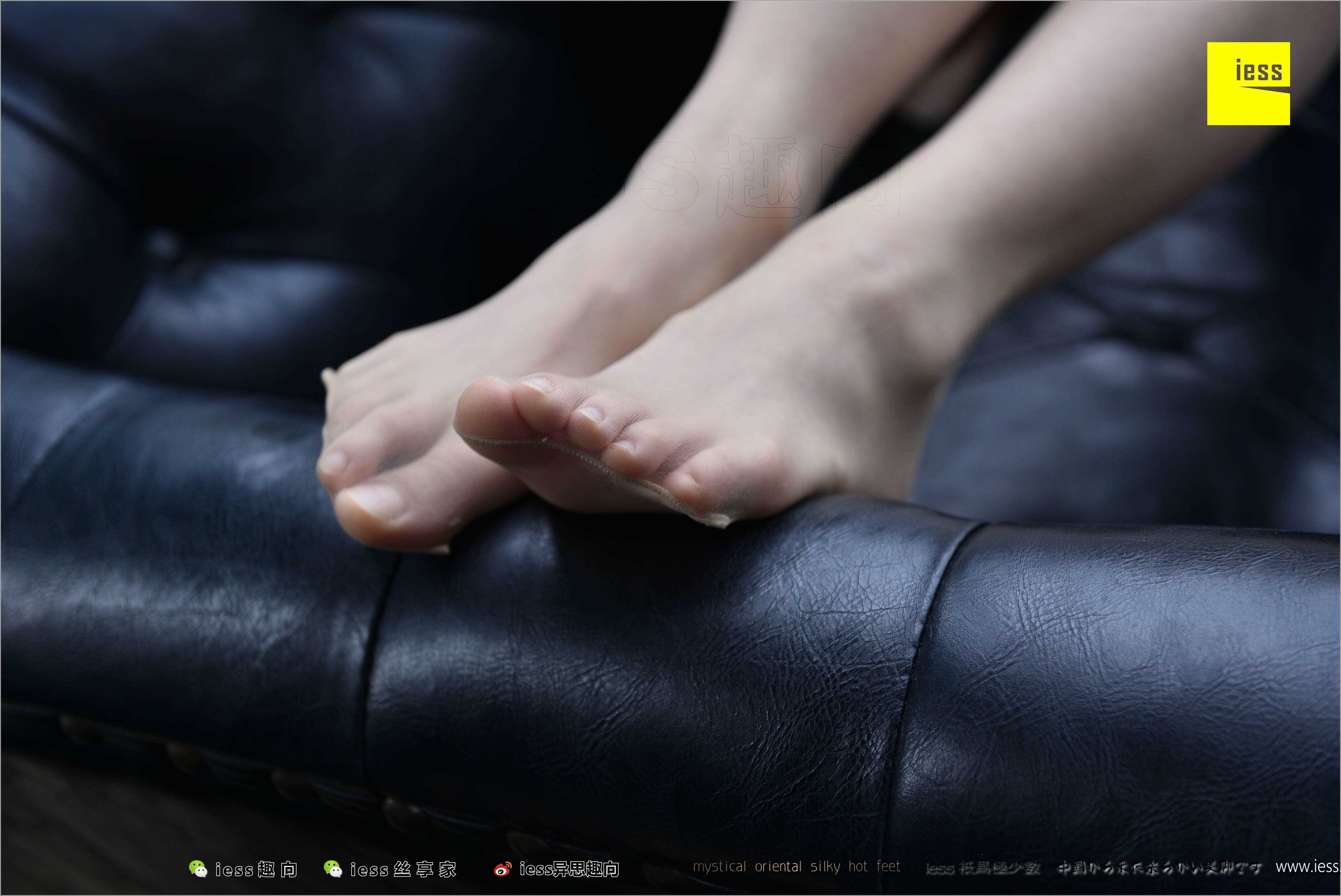 China Beauty Legs and feet 494