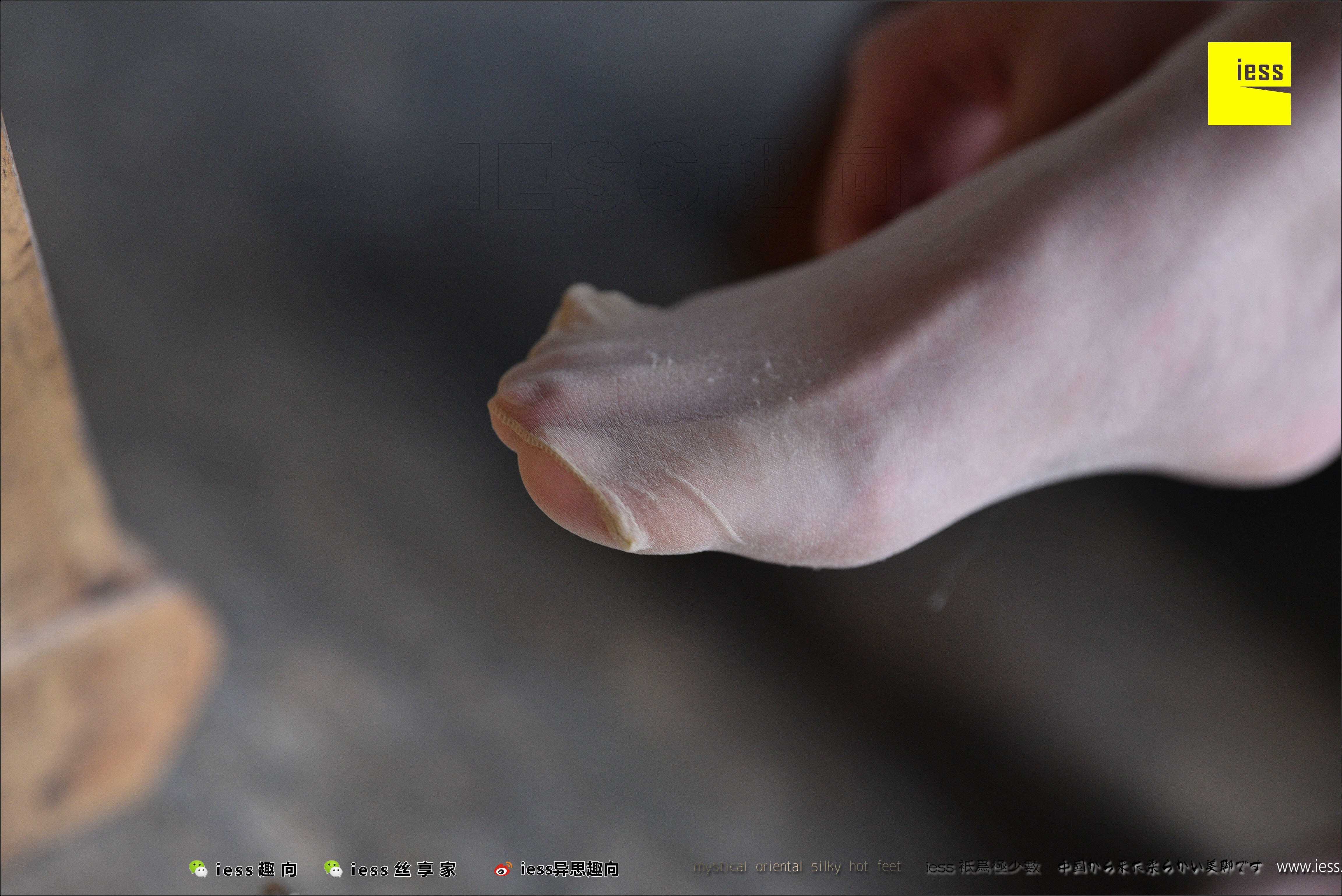 China Beauty Legs and feet 494