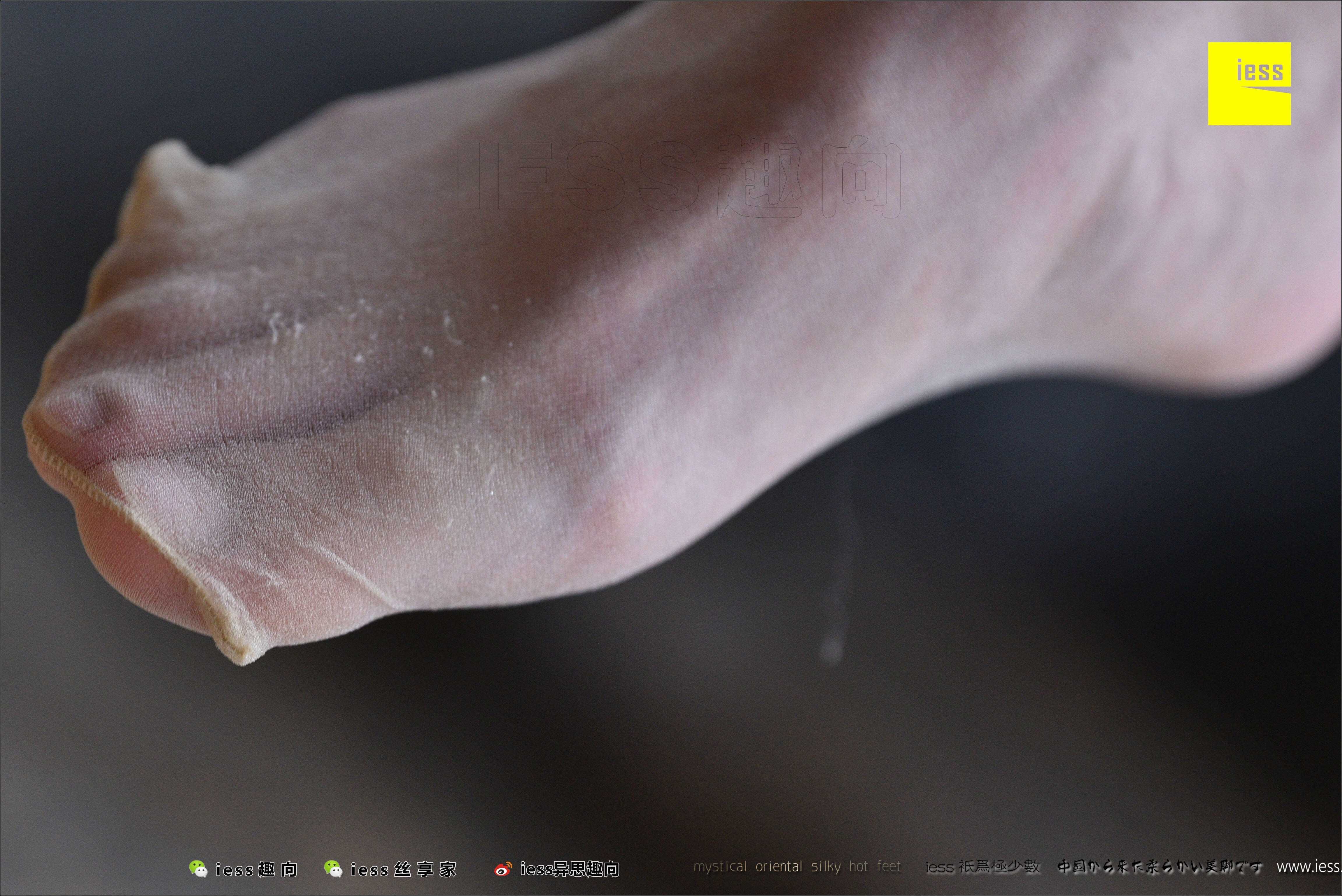 China Beauty Legs and feet 494