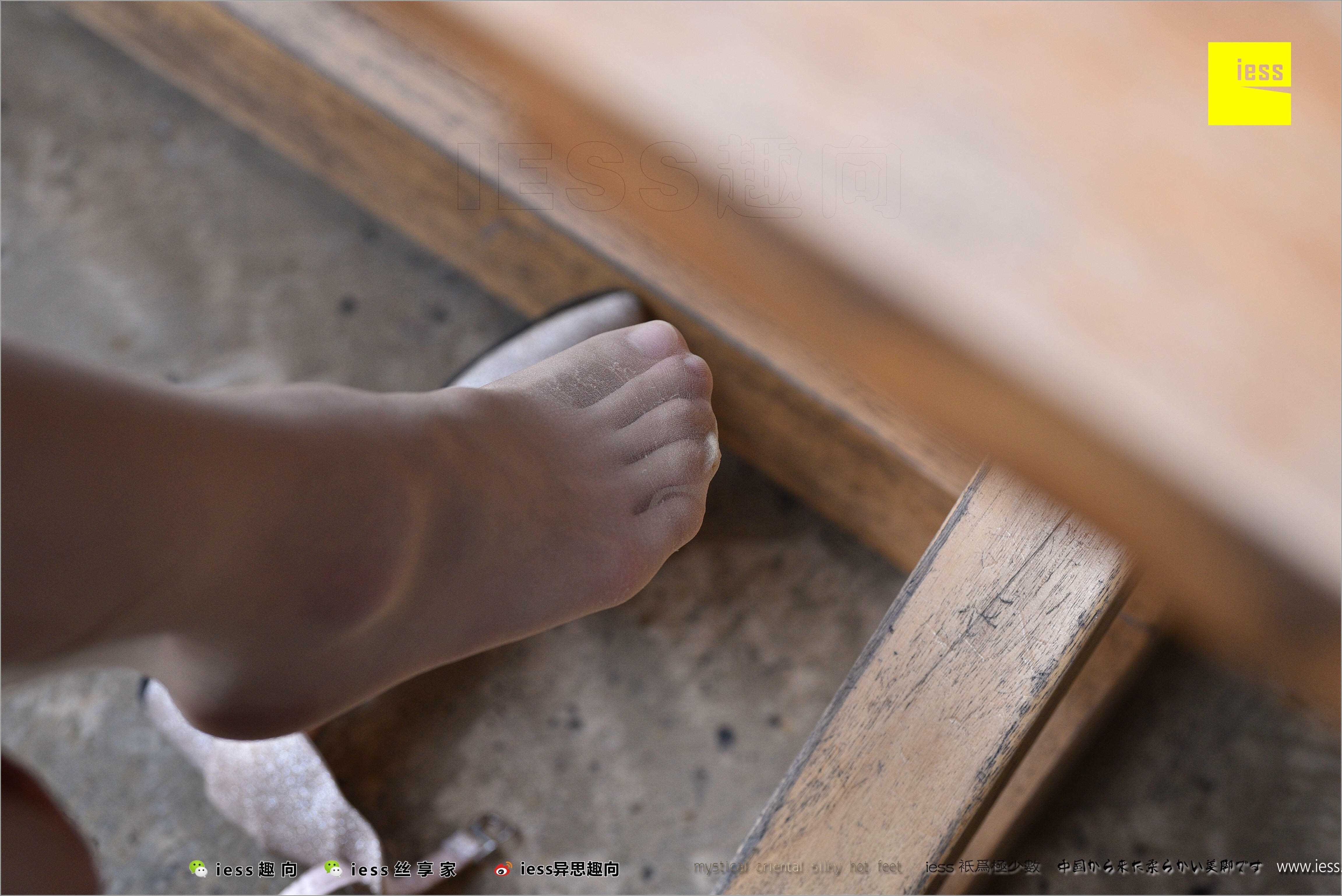 China Beauty Legs and feet 494