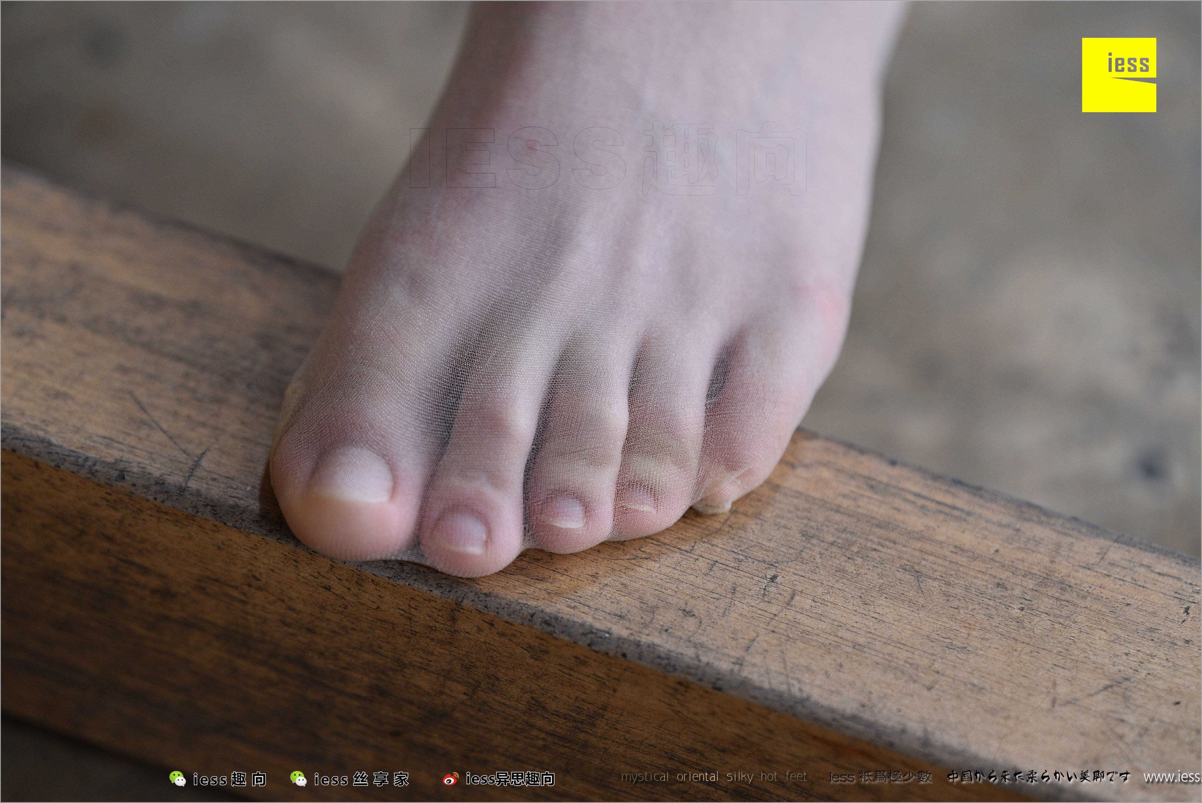 China Beauty Legs and feet 494