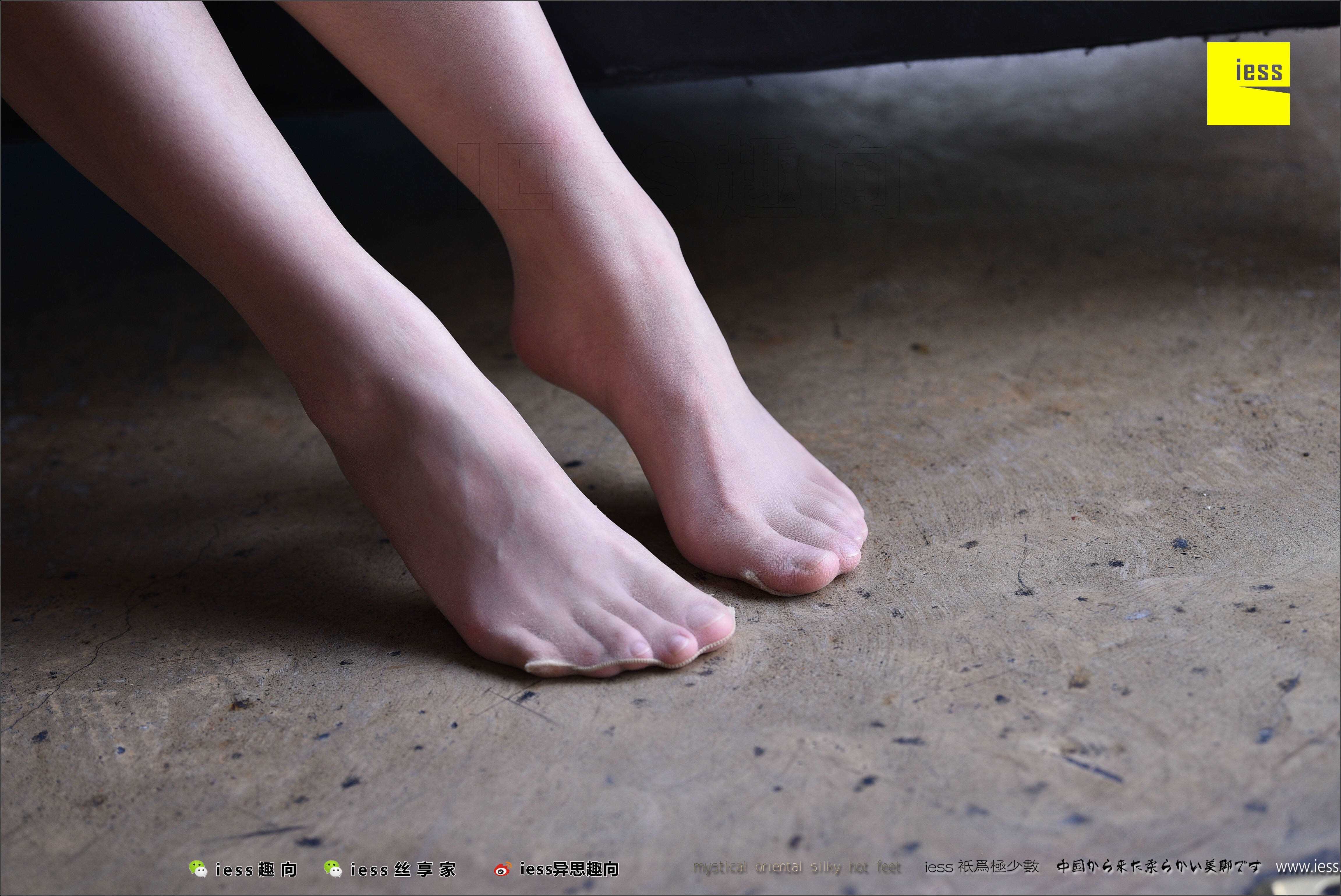 China Beauty Legs and feet 494