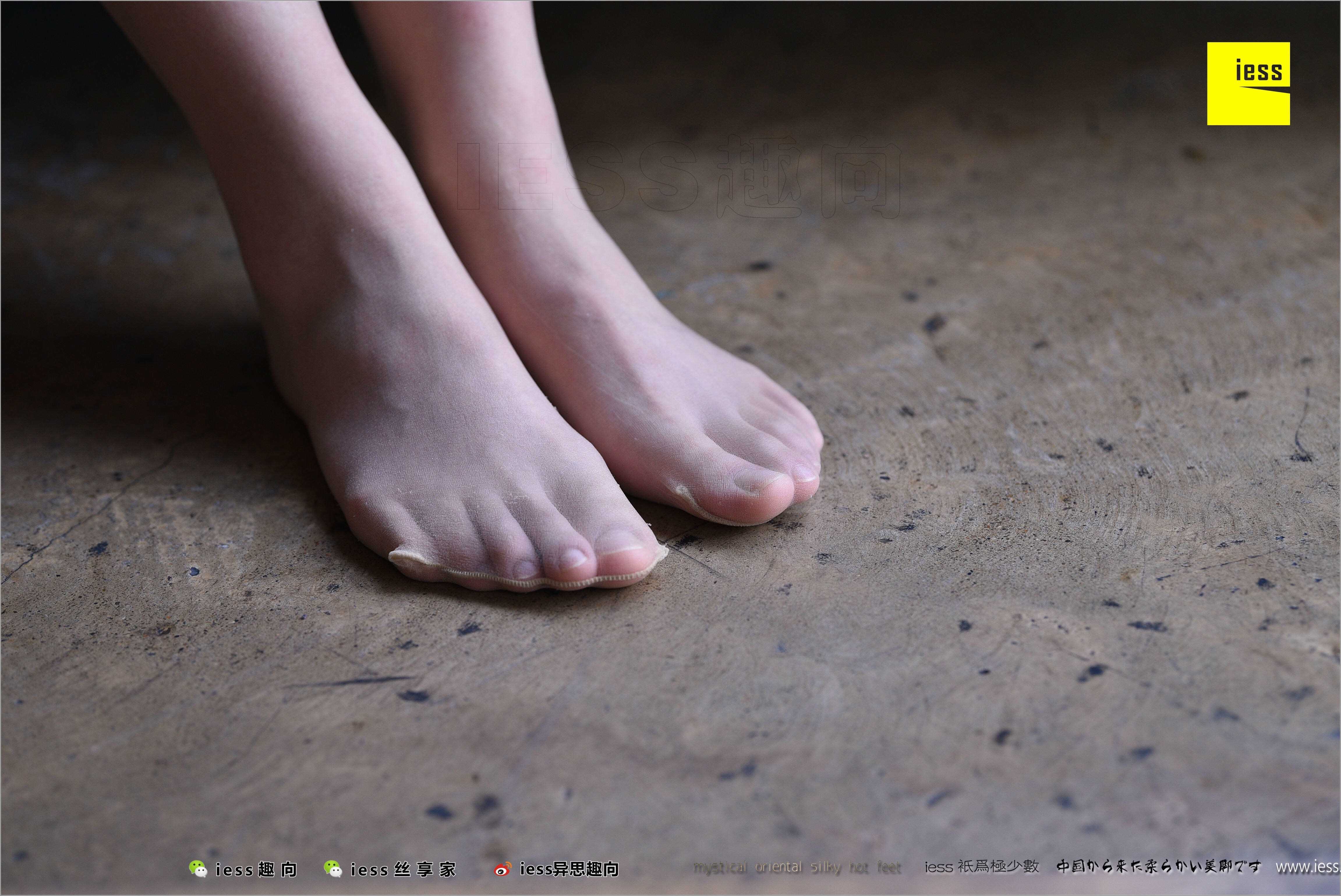 China Beauty Legs and feet 494