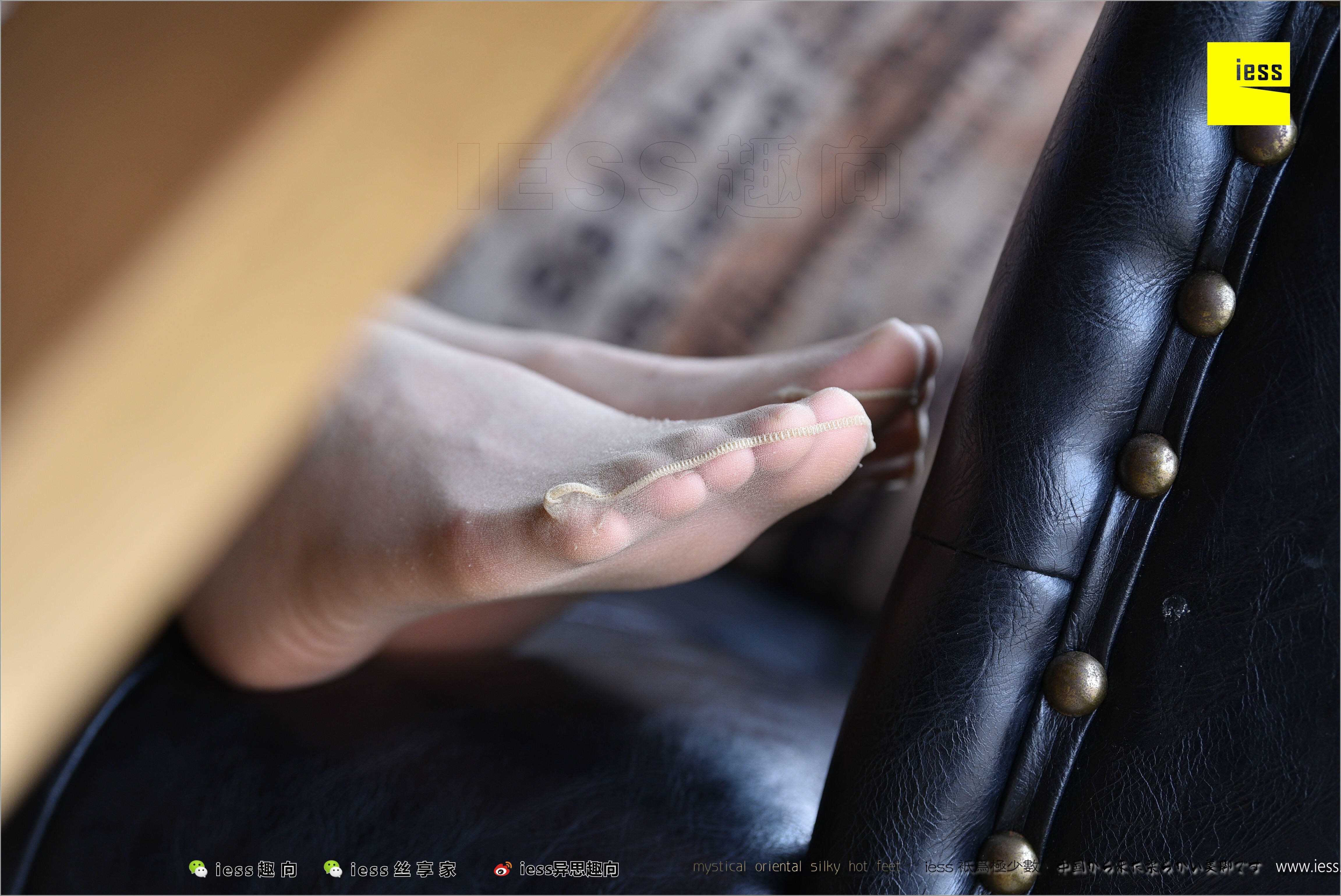 China Beauty Legs and feet 494