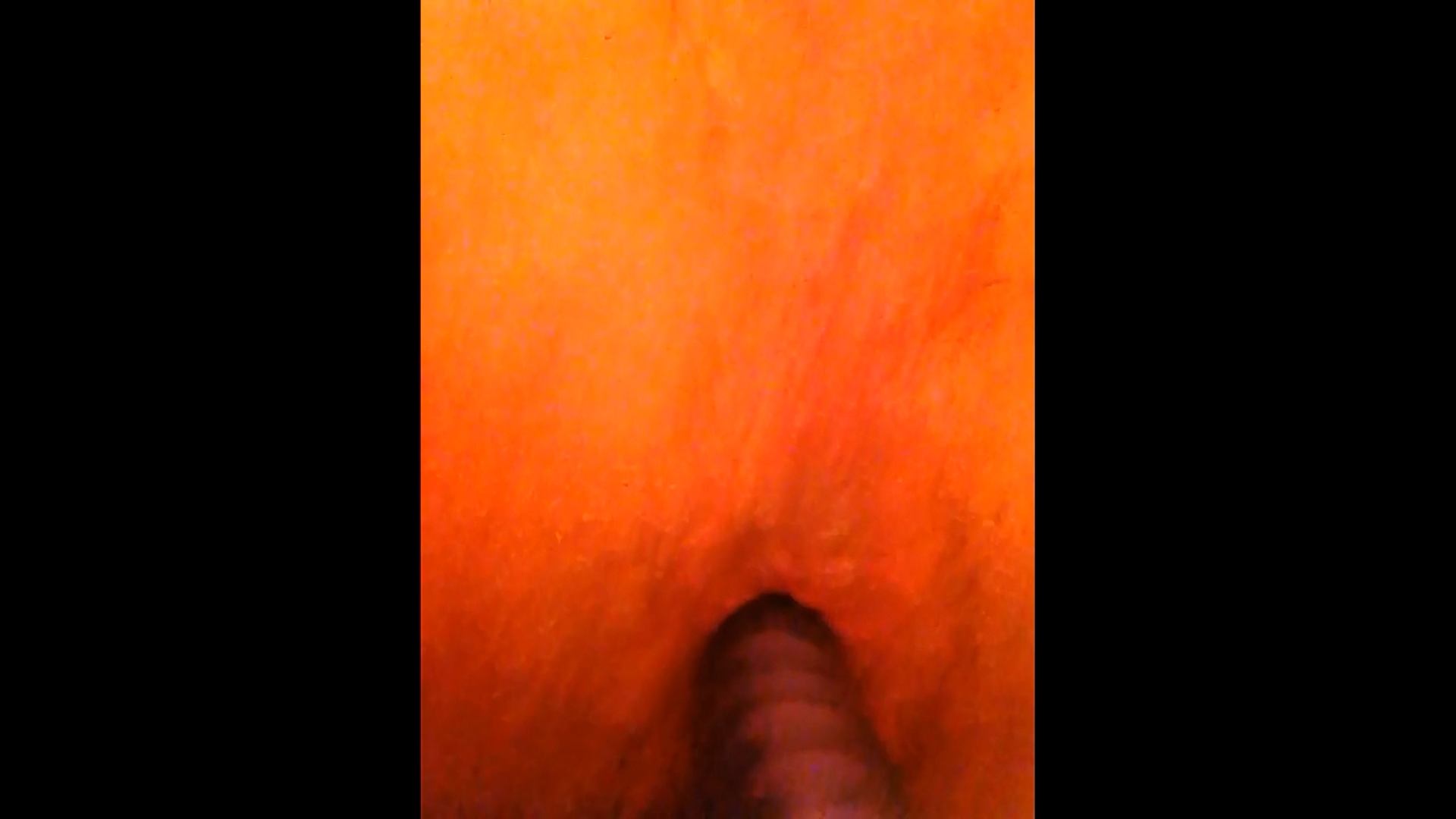 Purple Anal Dildo Ride