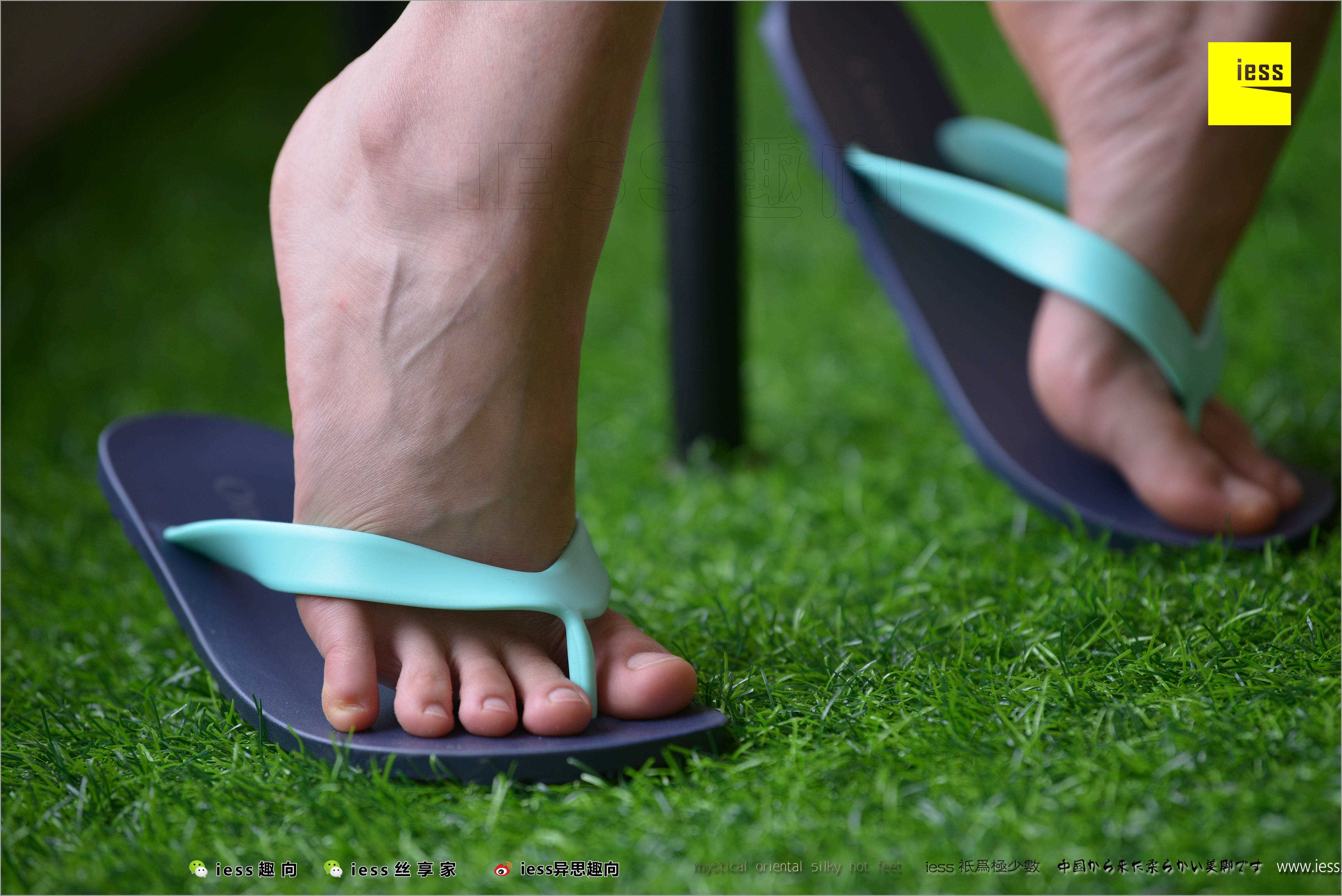 China Beauty Legs and feet 498