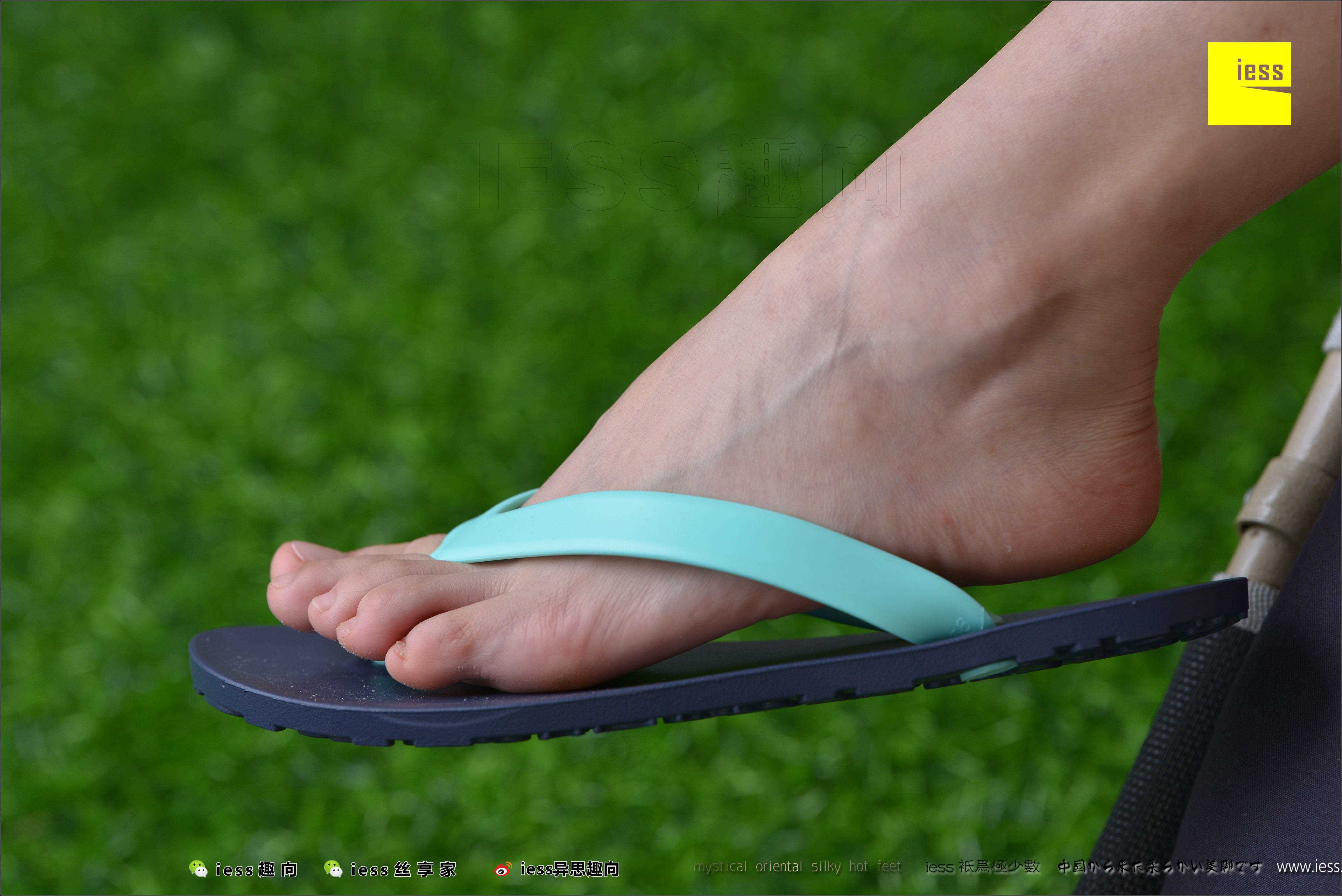 China Beauty Legs and feet 498