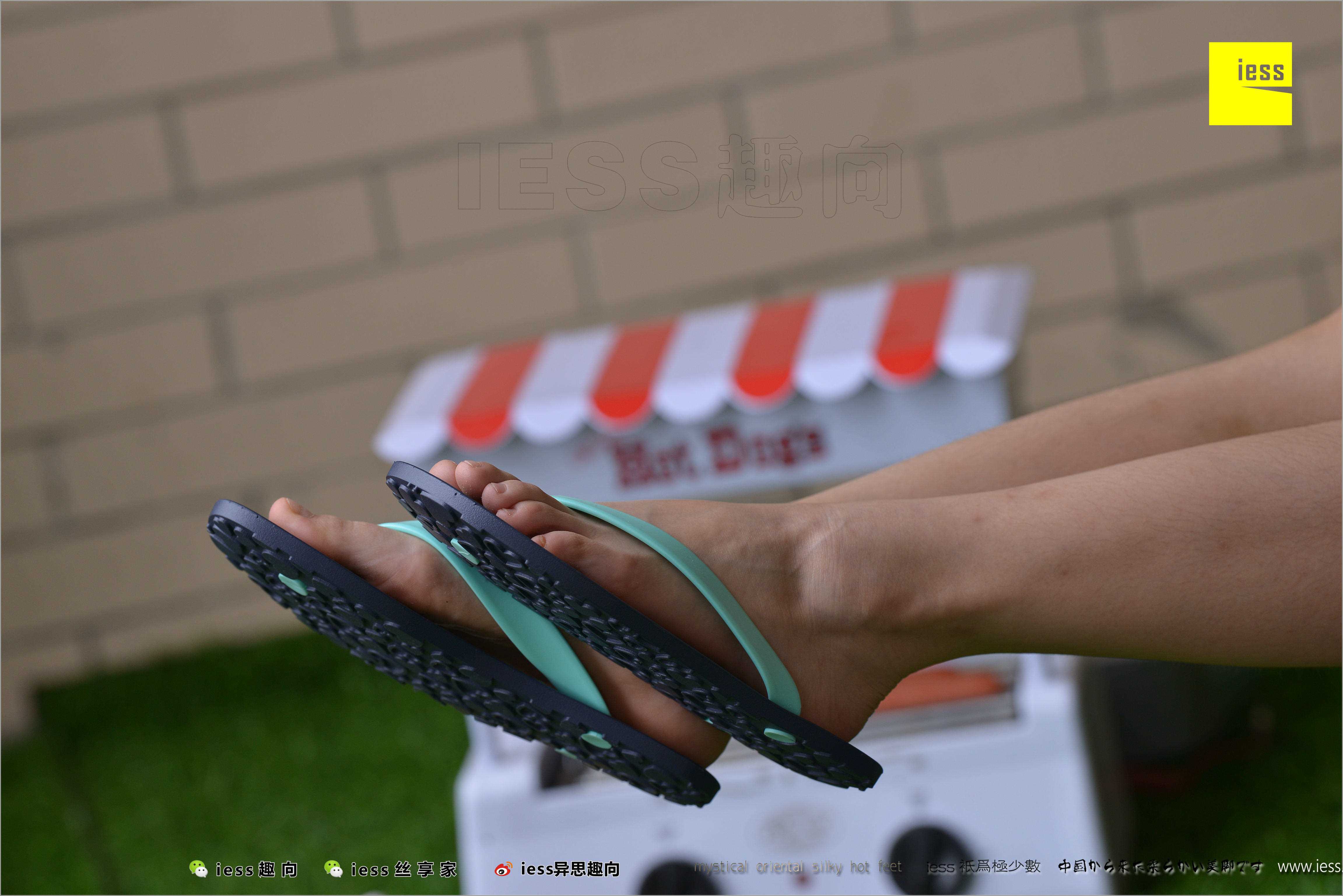 China Beauty Legs and feet 498