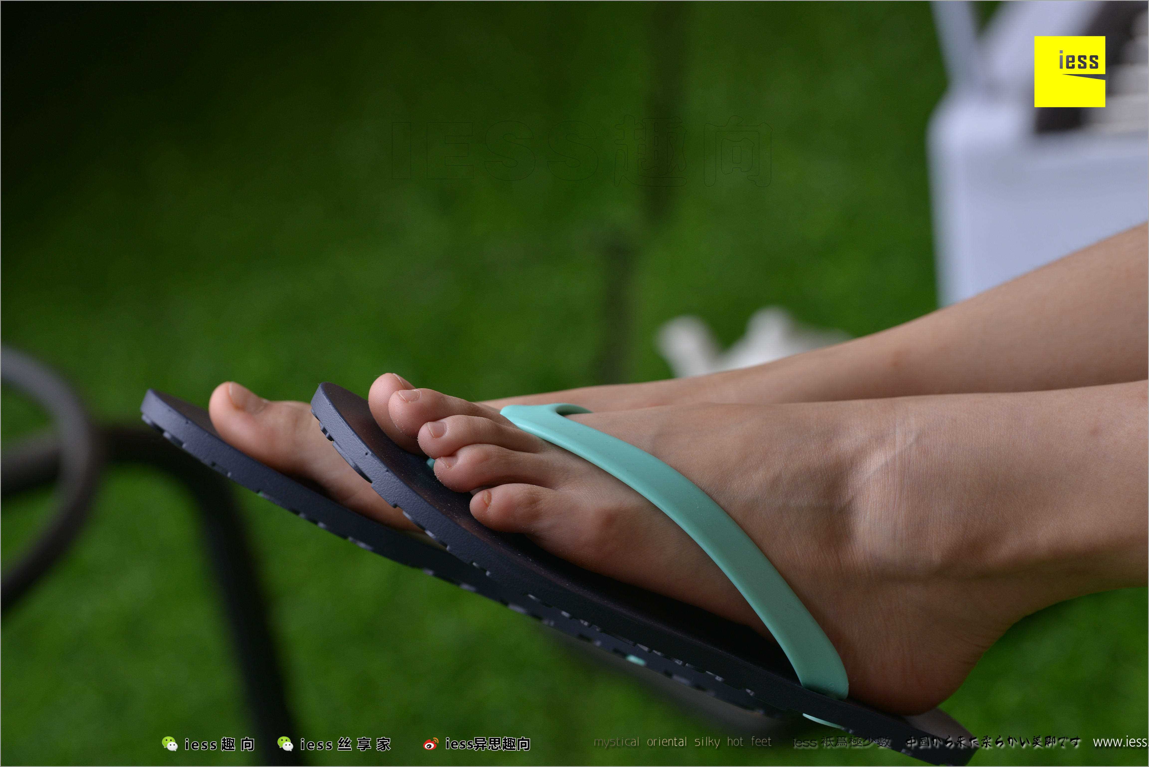 China Beauty Legs and feet 498