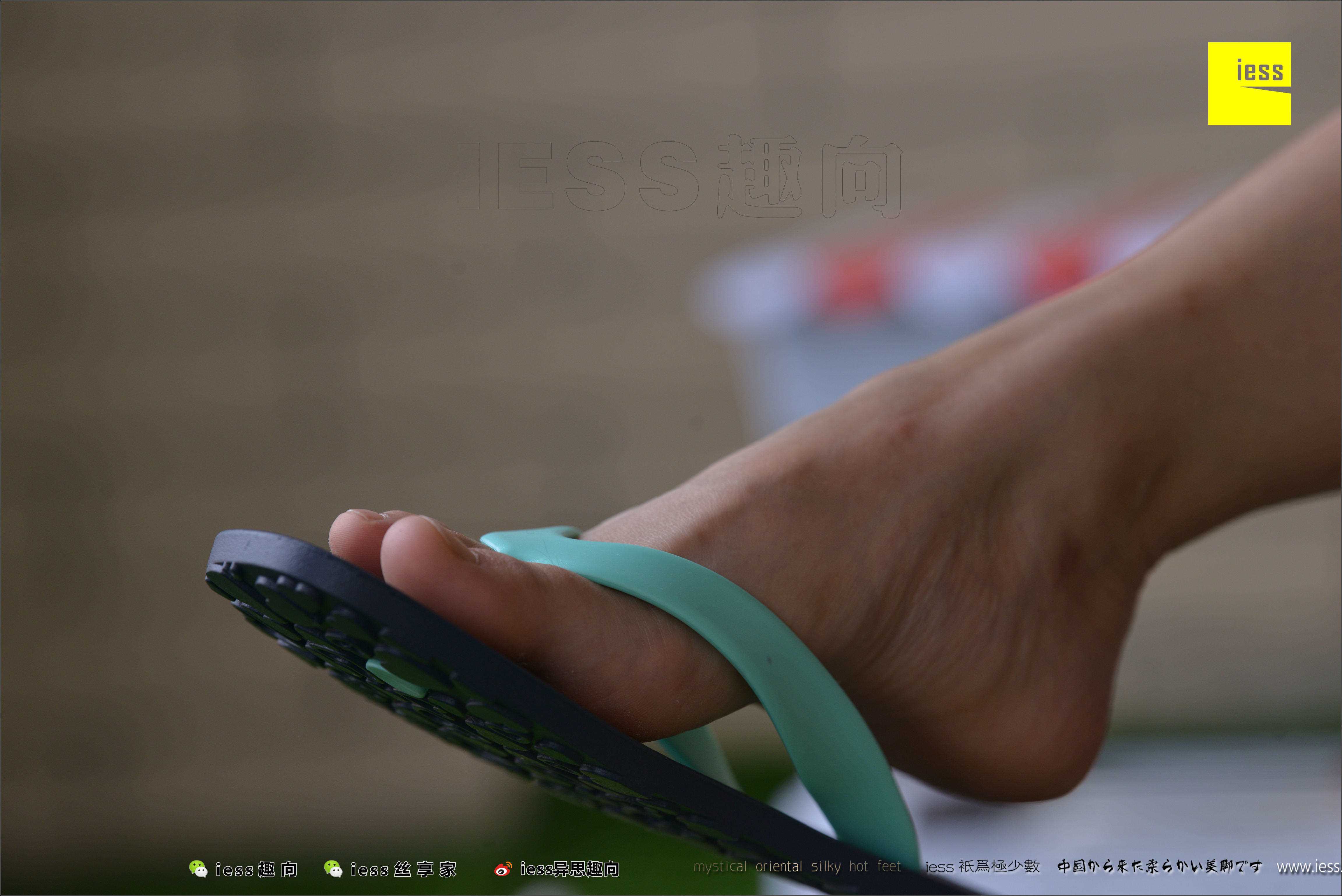 China Beauty Legs and feet 498