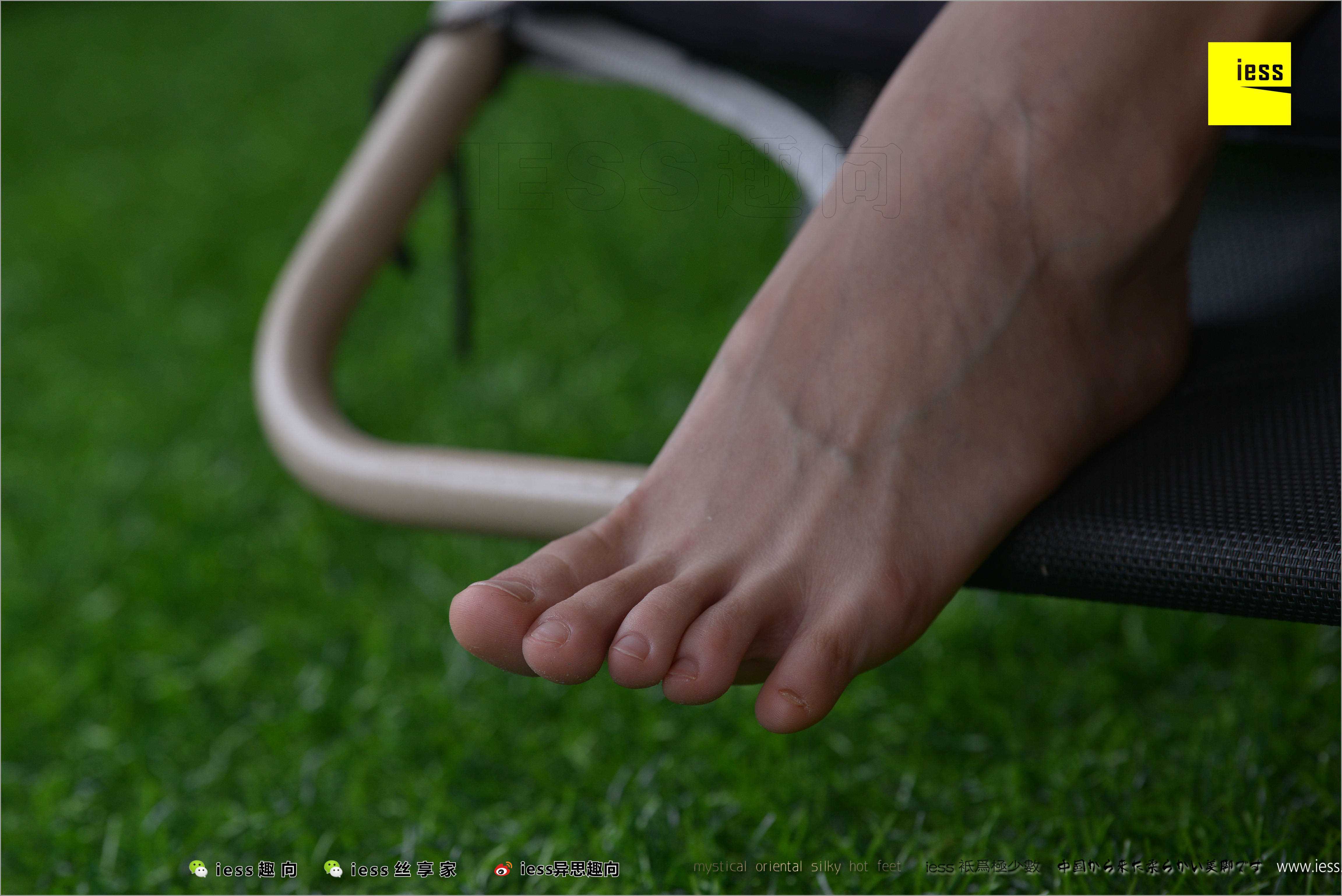 China Beauty Legs and feet 498