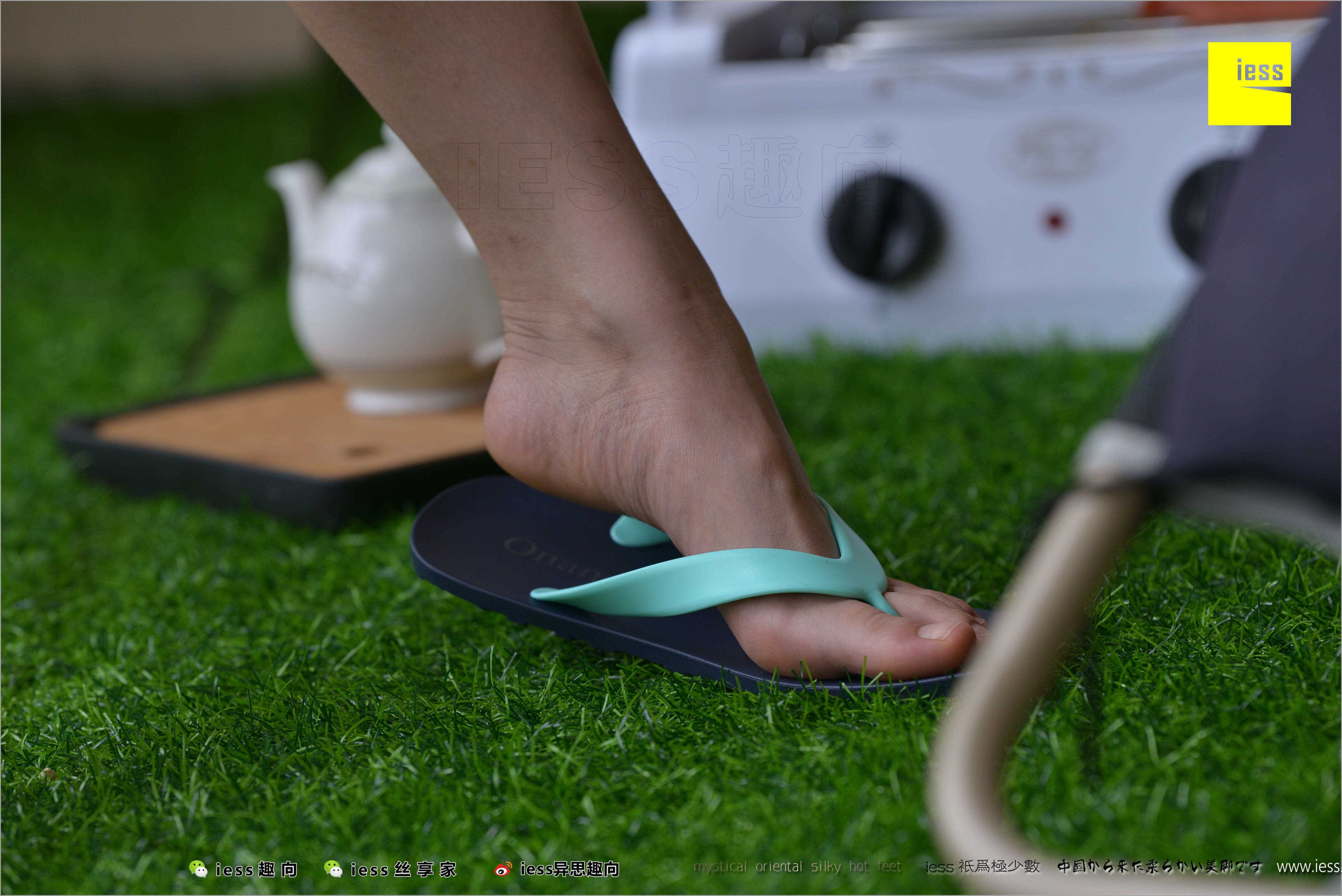 China Beauty Legs and feet 498