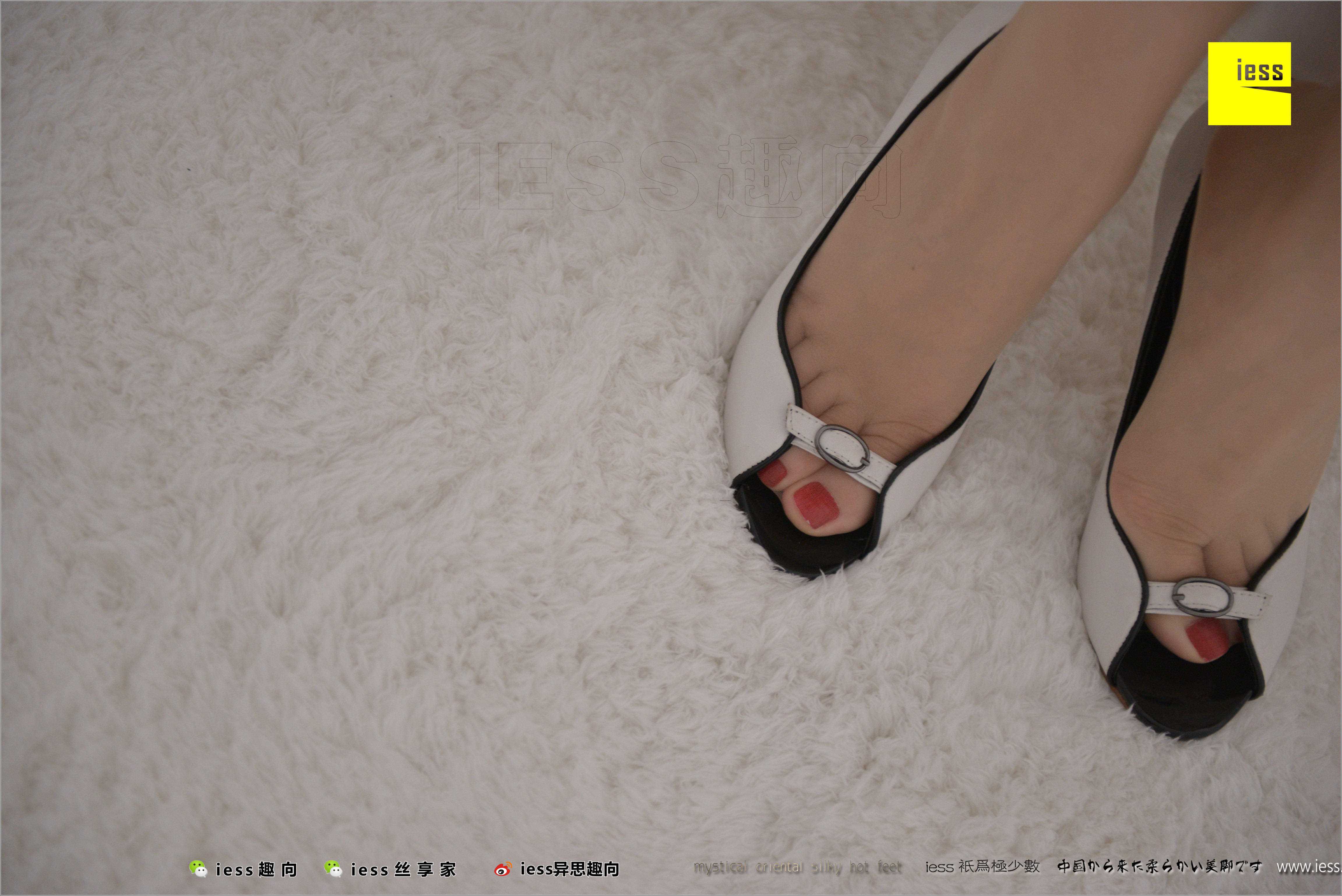 China Beauty Legs and feet 499