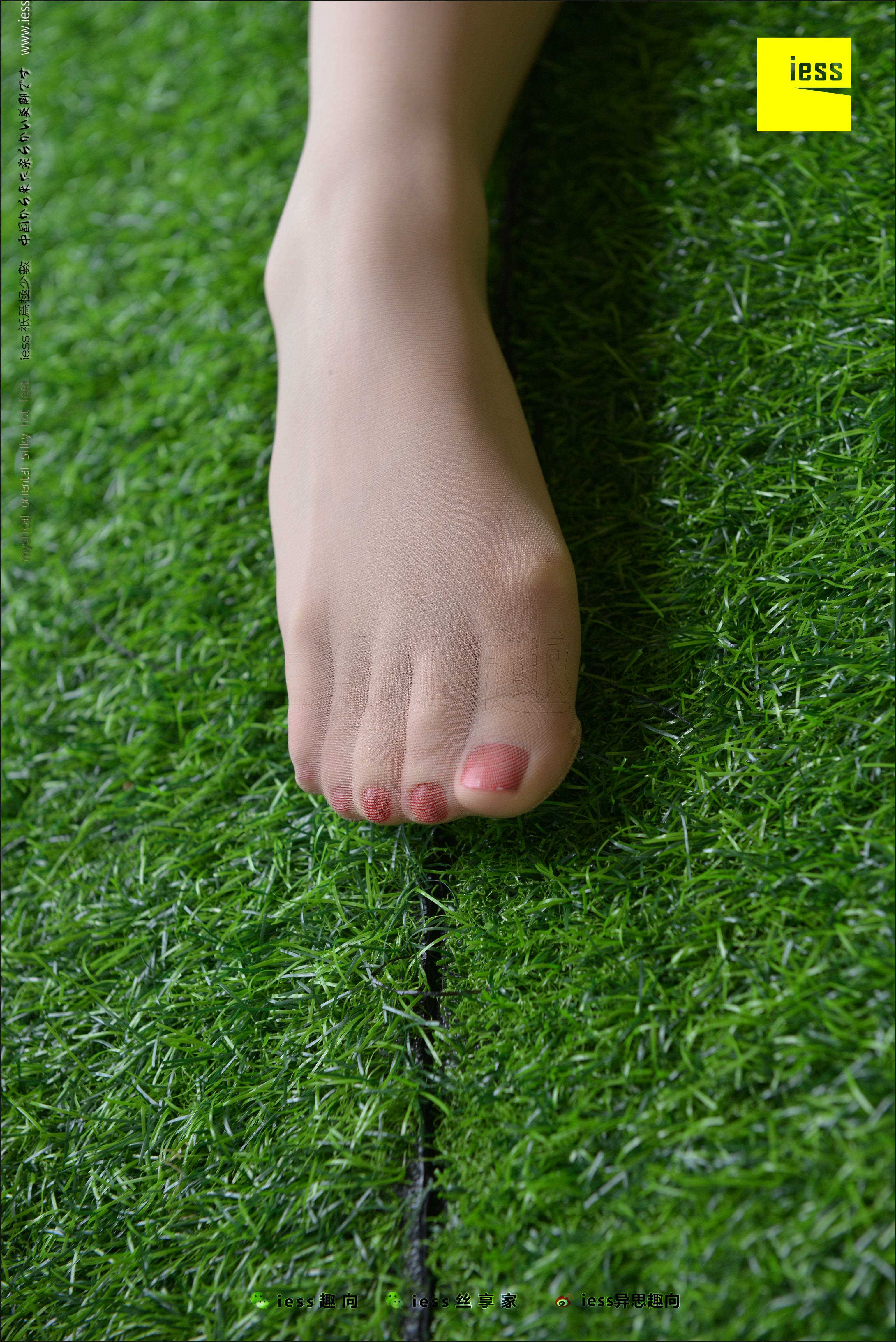 China Beauty Legs and feet 502