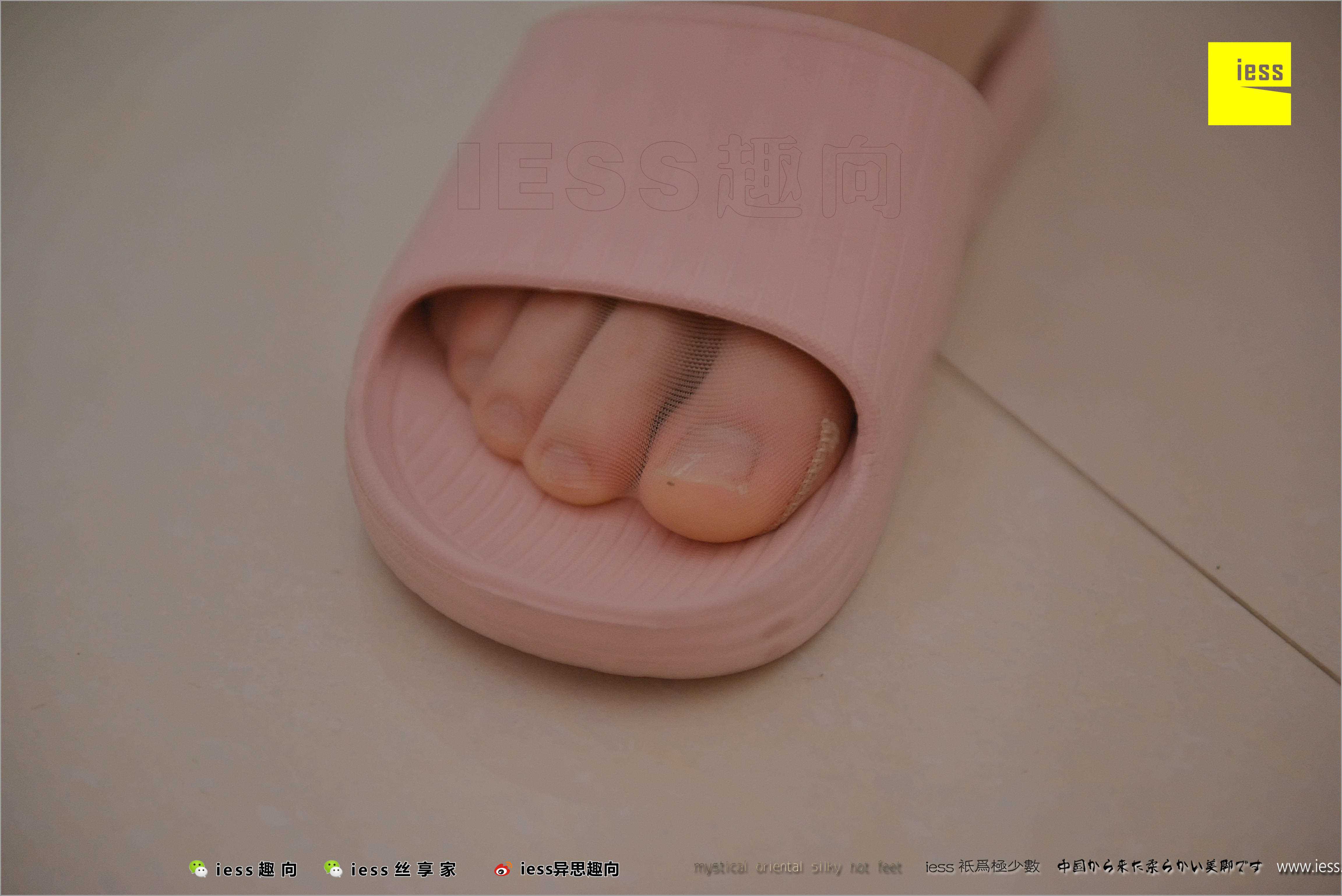 China Beauty Legs and feet 503