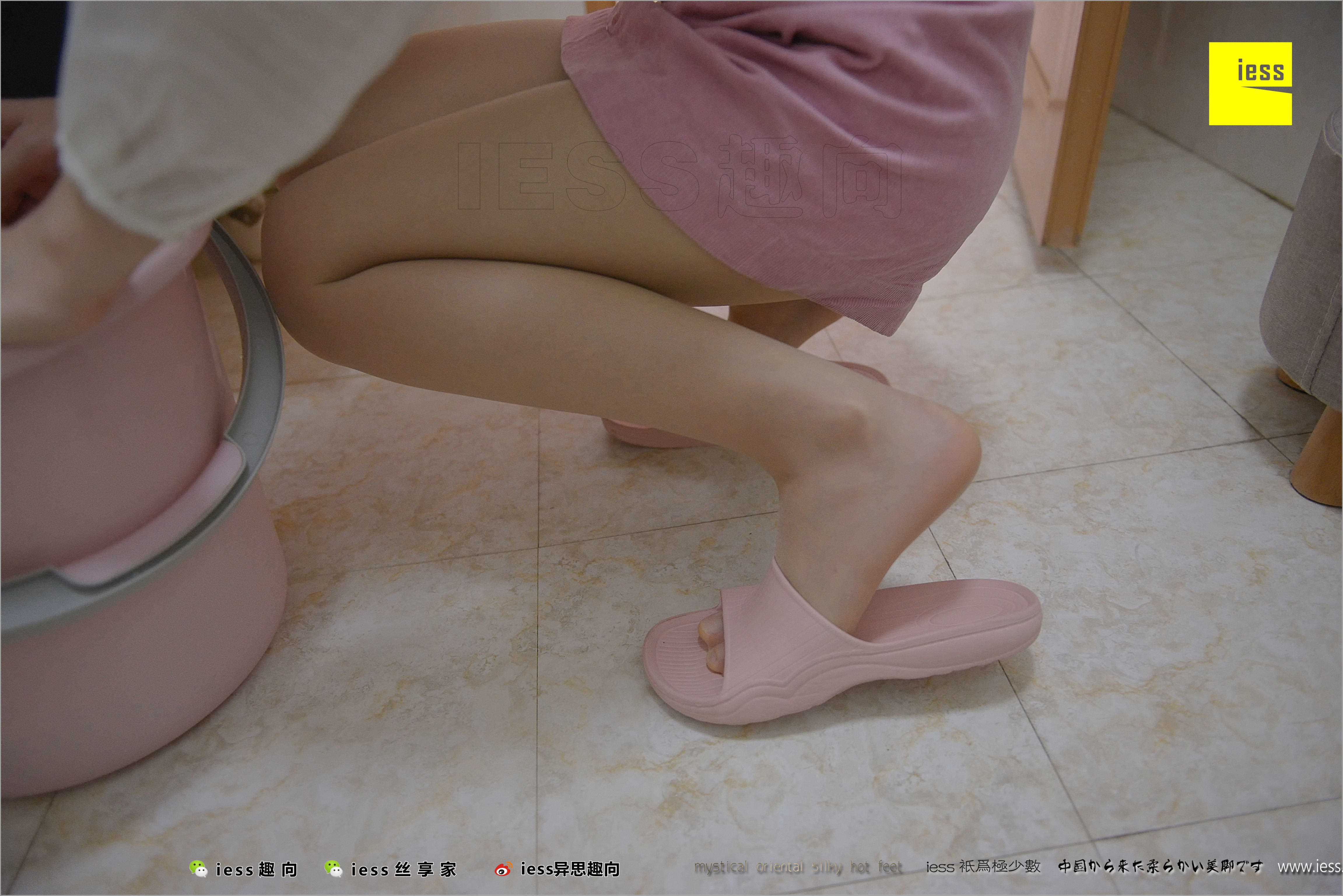 China Beauty Legs and feet 503