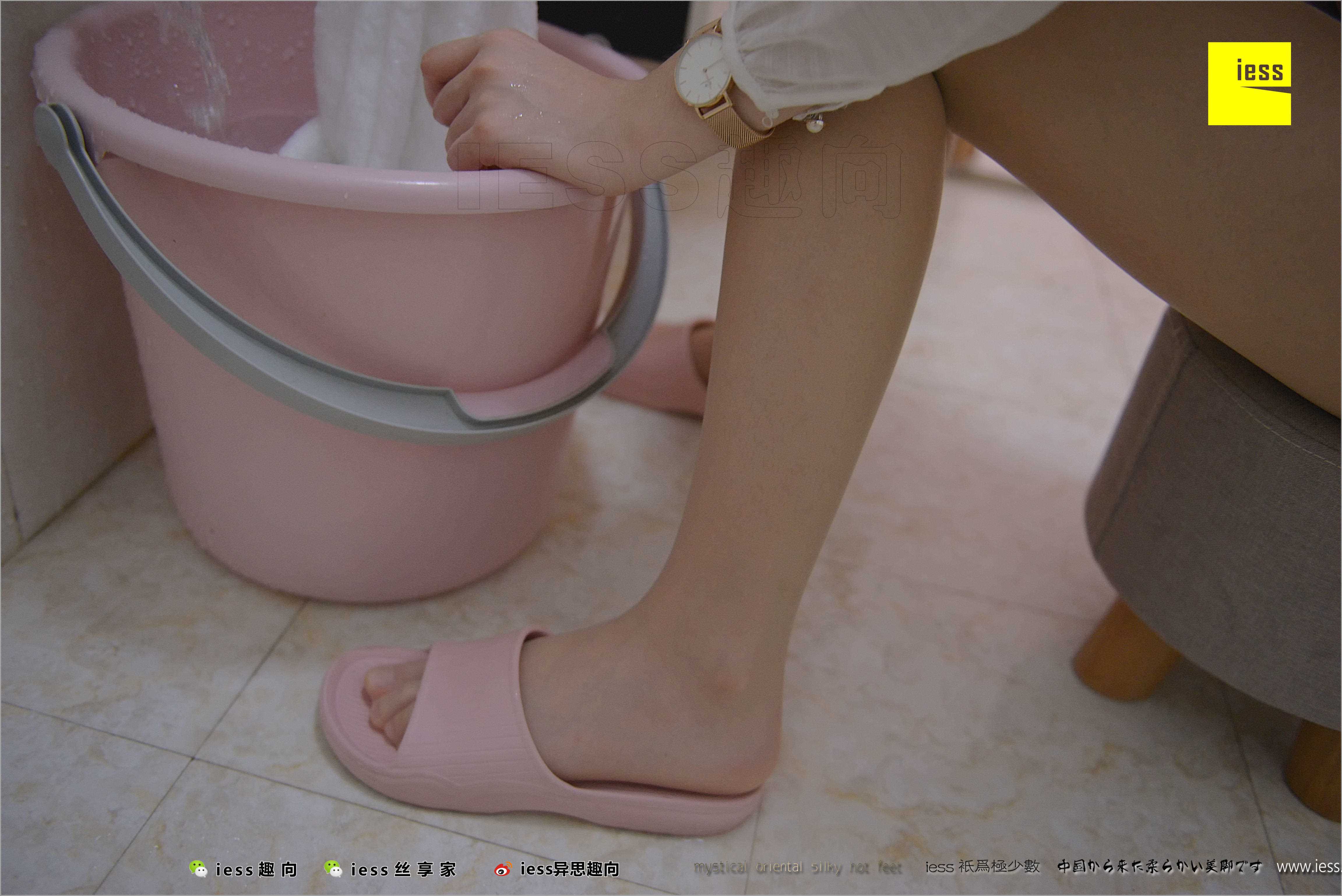 China Beauty Legs and feet 503