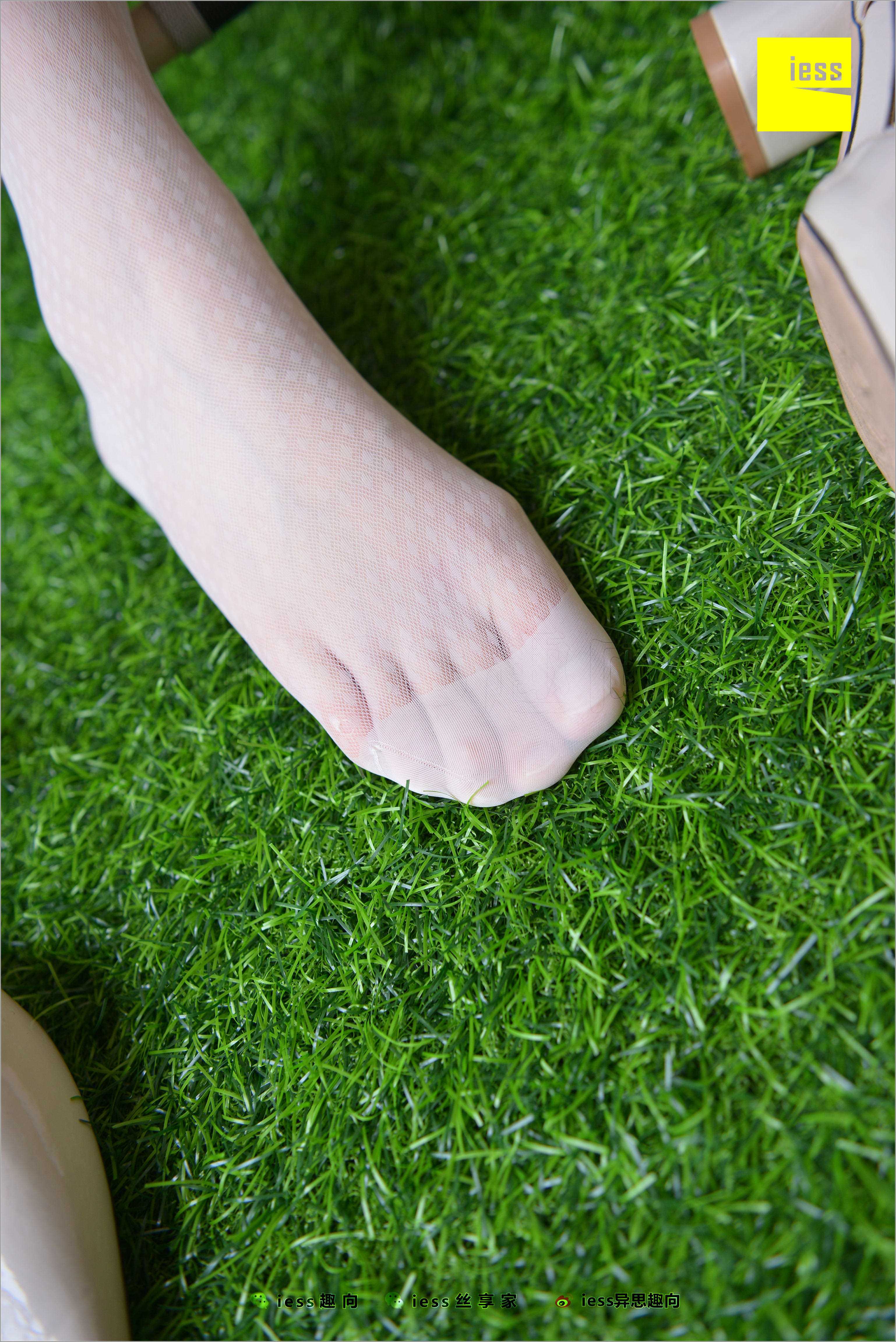 China Beauty Legs and feet 504