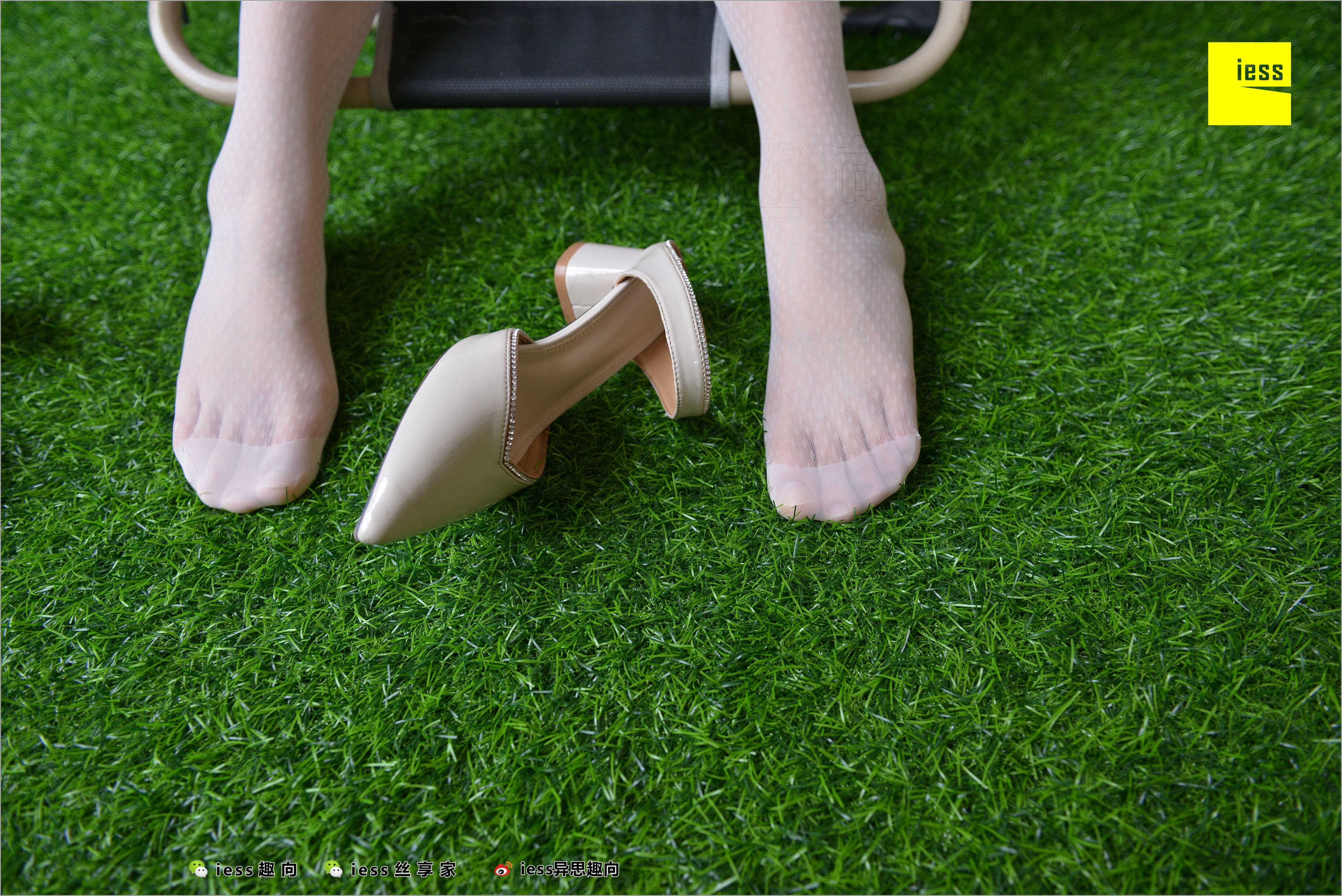 China Beauty Legs and feet 504