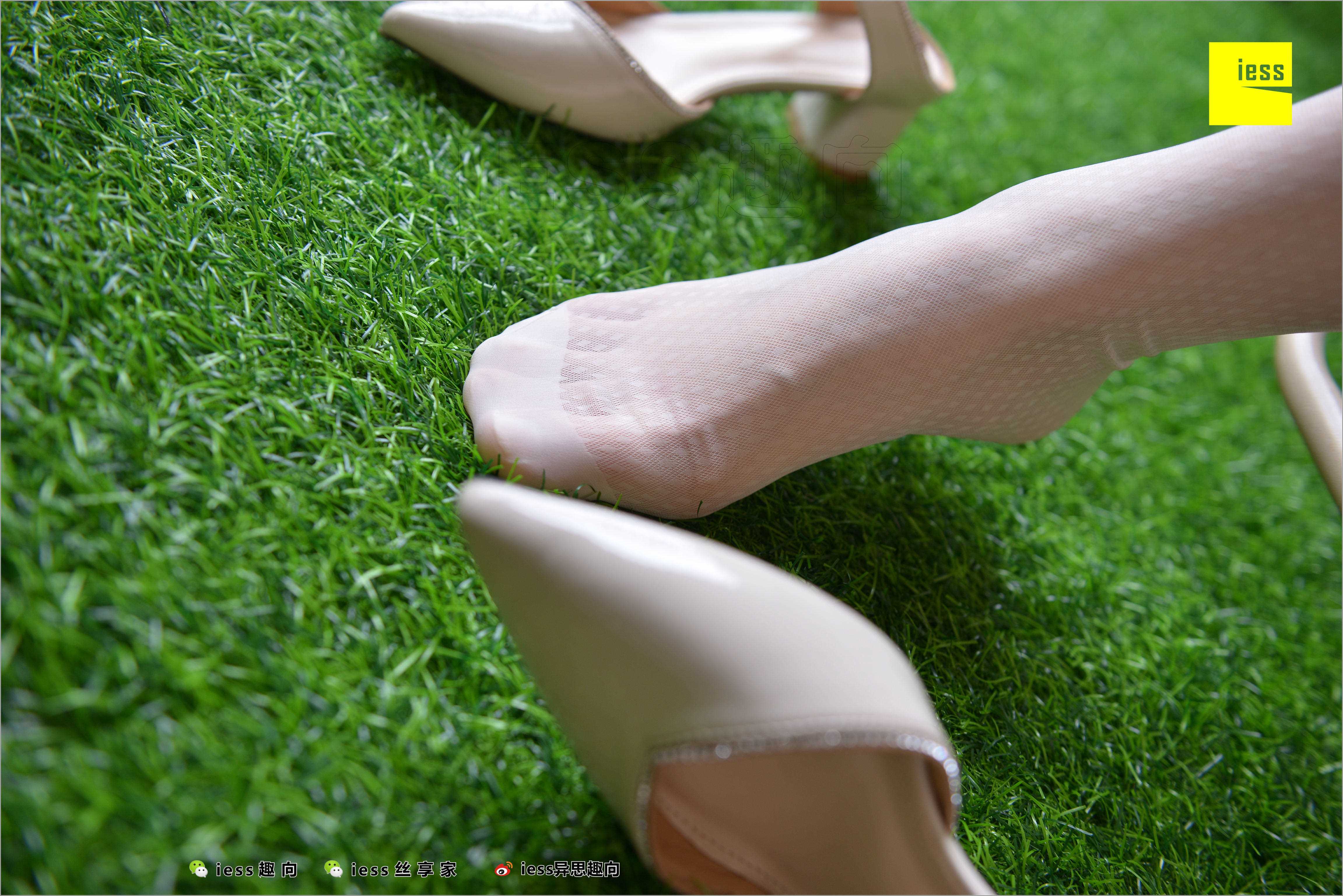 China Beauty Legs and feet 504