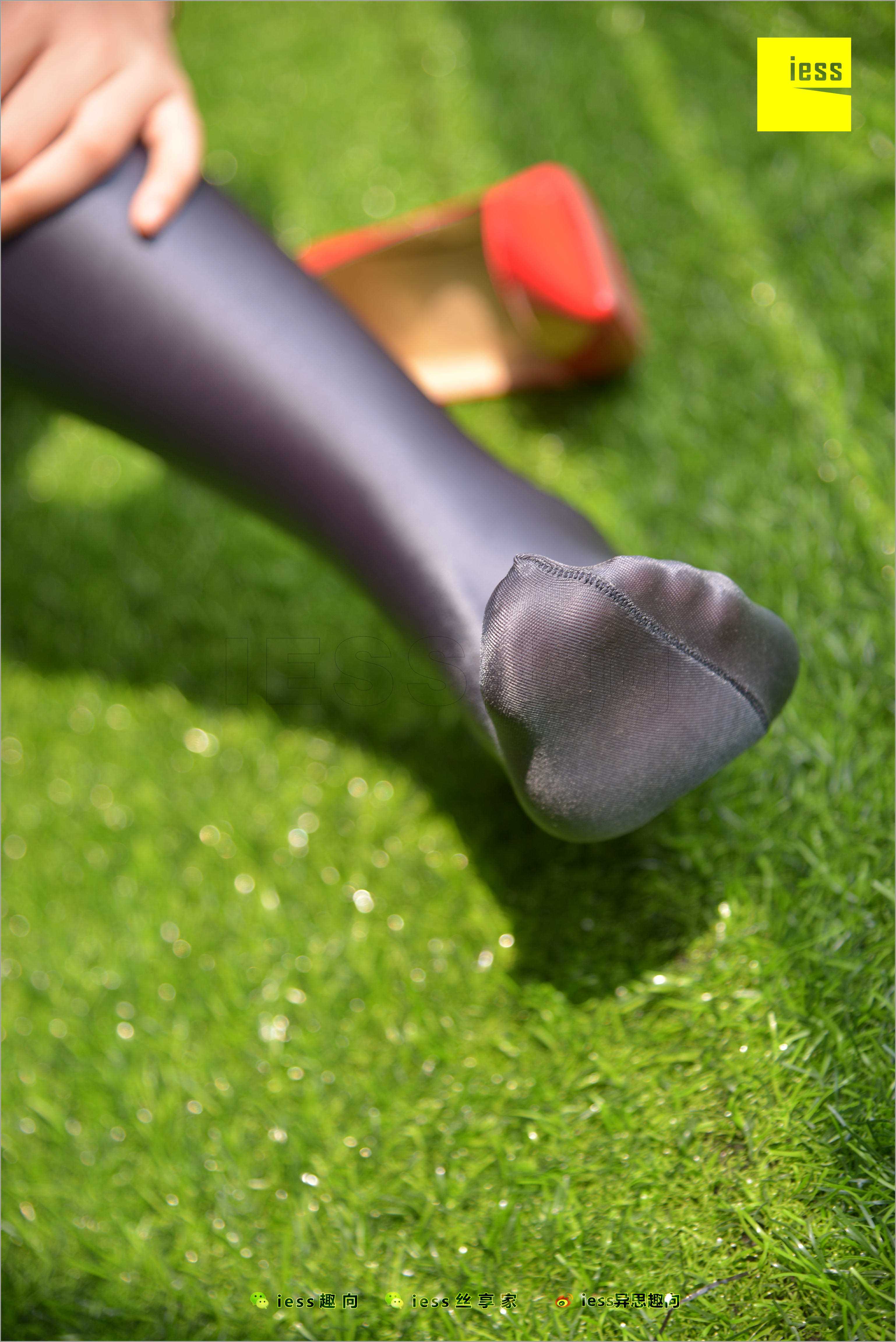 China Beauty Legs and feet 509