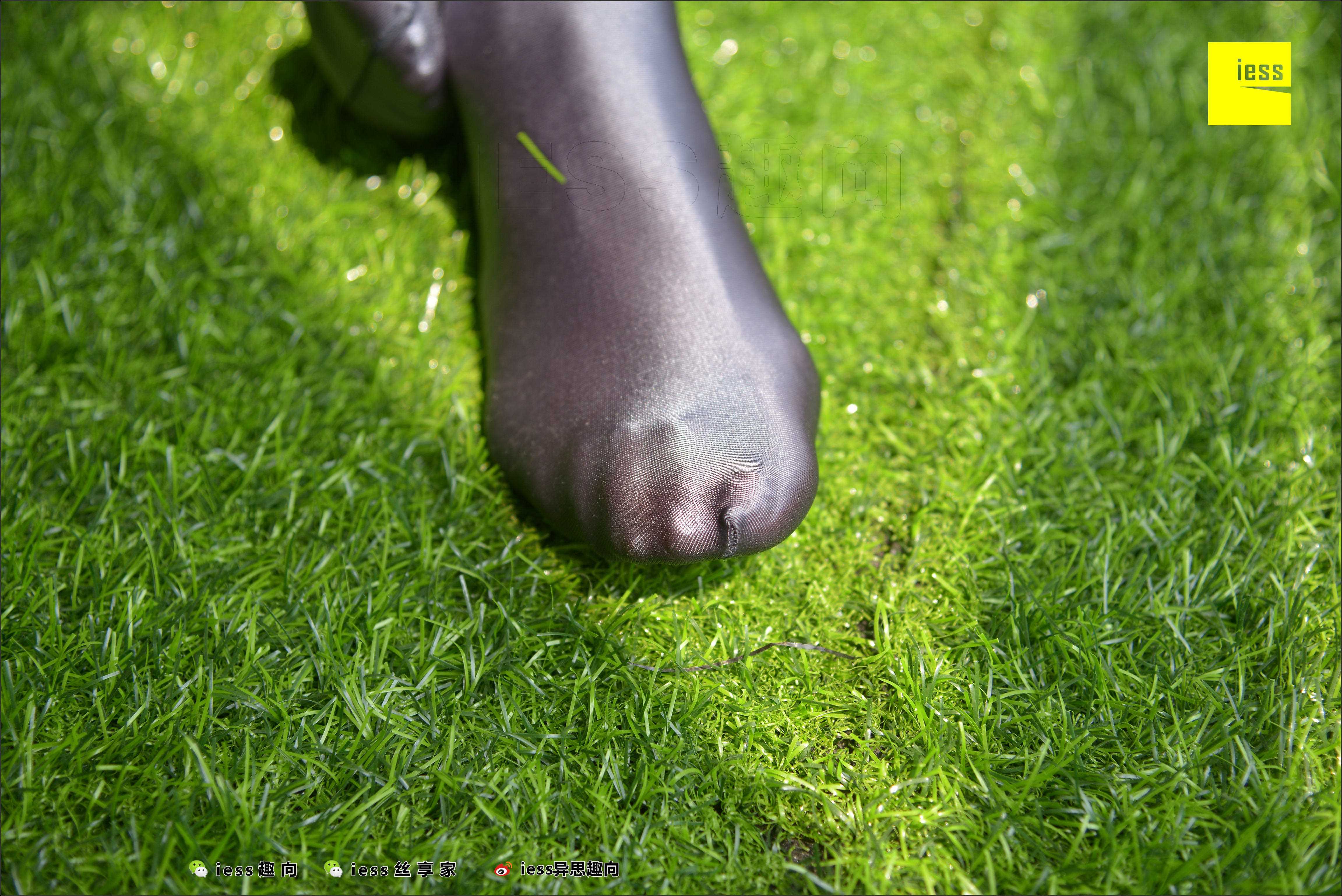 China Beauty Legs and feet 509