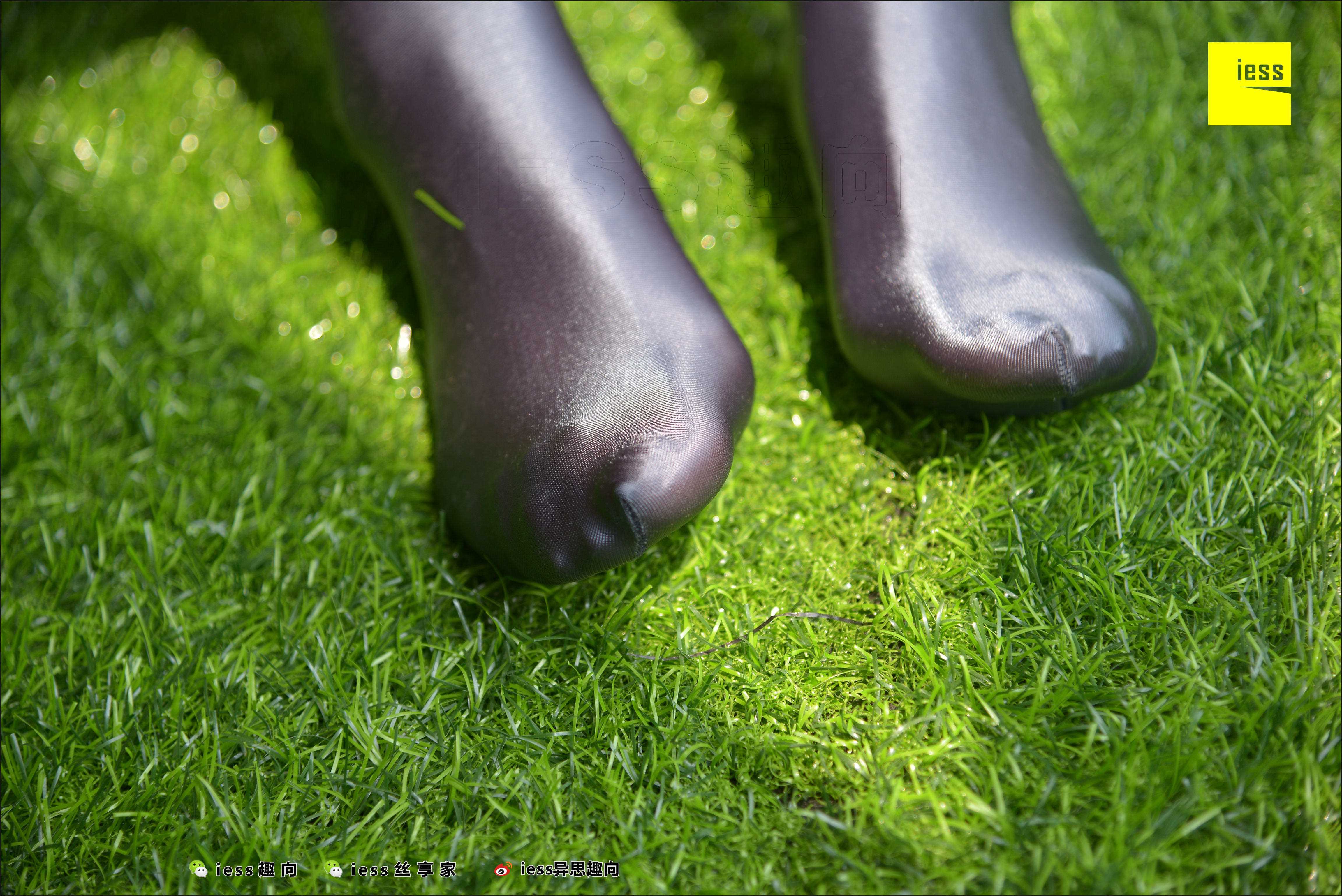 China Beauty Legs and feet 509