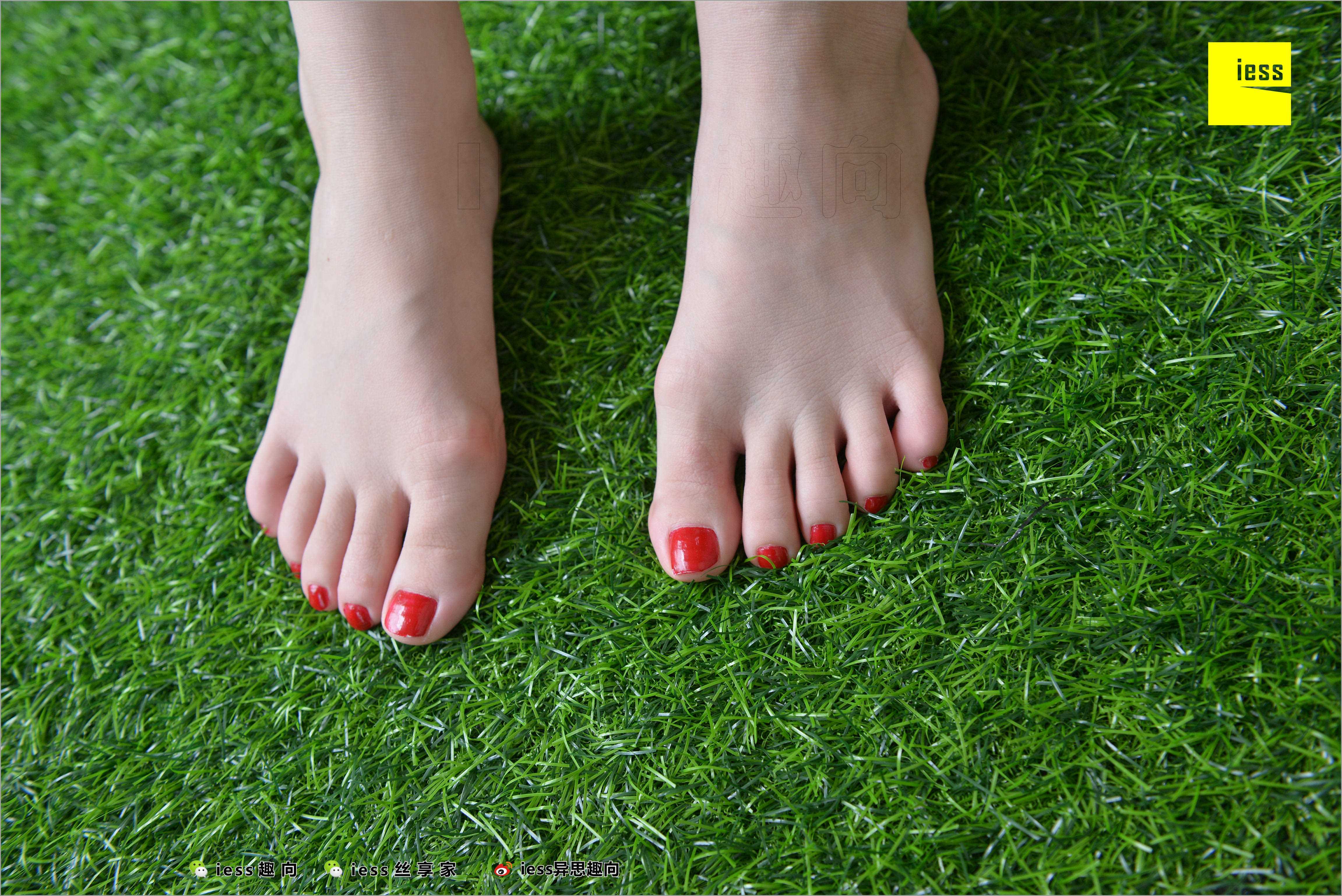 China Beauty Legs and feet 511